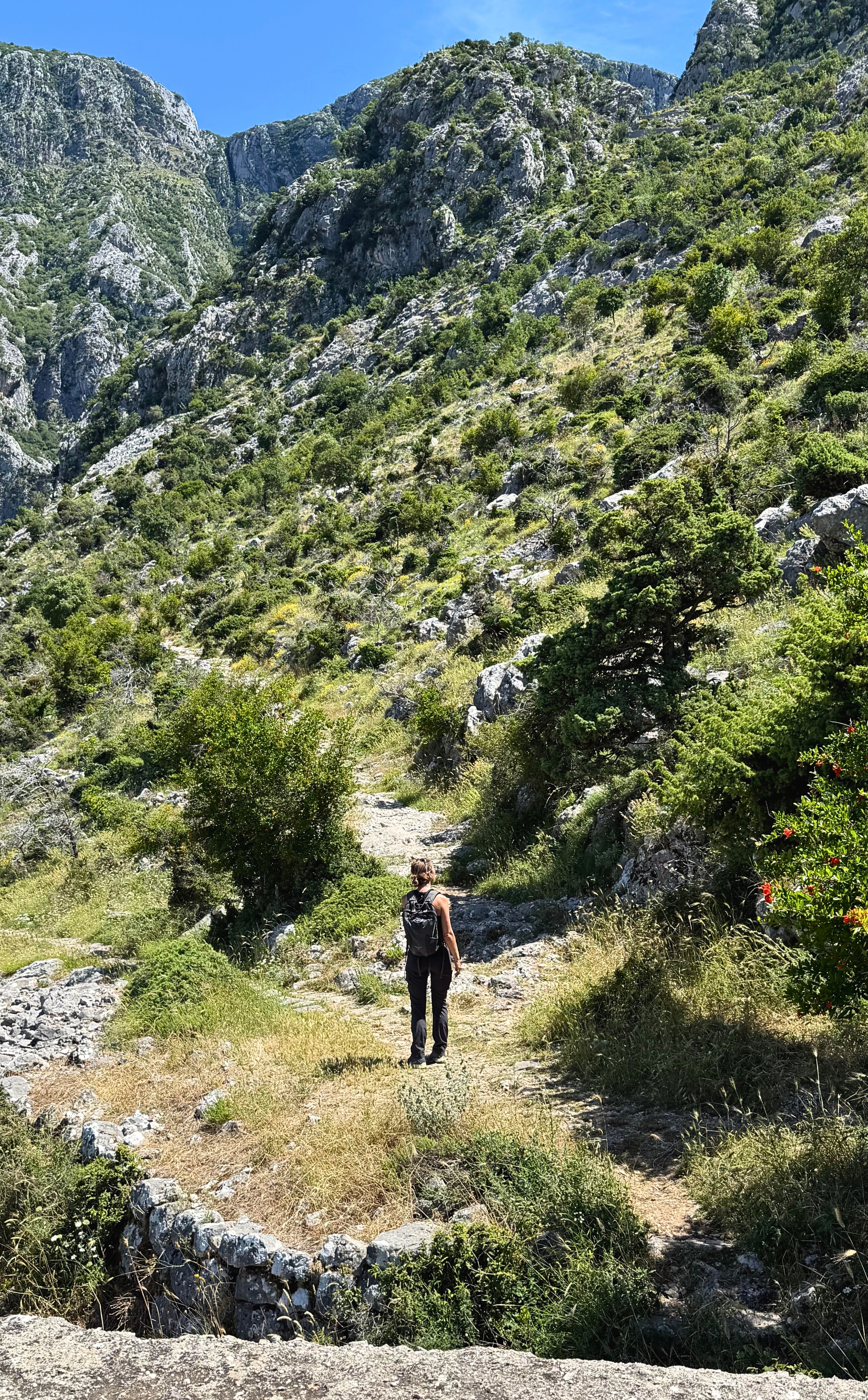 The Ladder of Kotor trail switchbacking up the cliffs above the Old Town and bay.