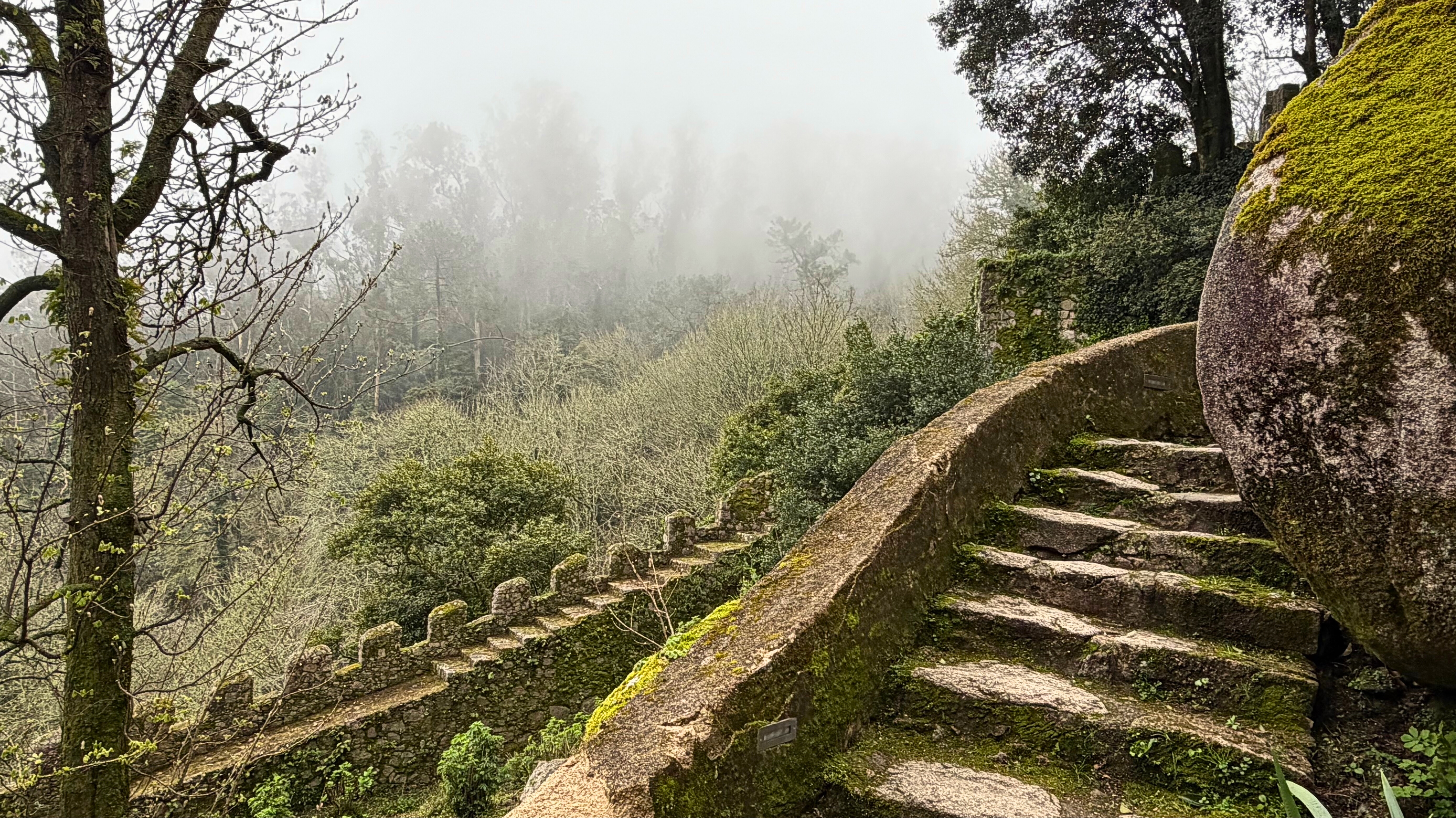 The Moorish Castle in Sintra with stone ramparts receding into mist.