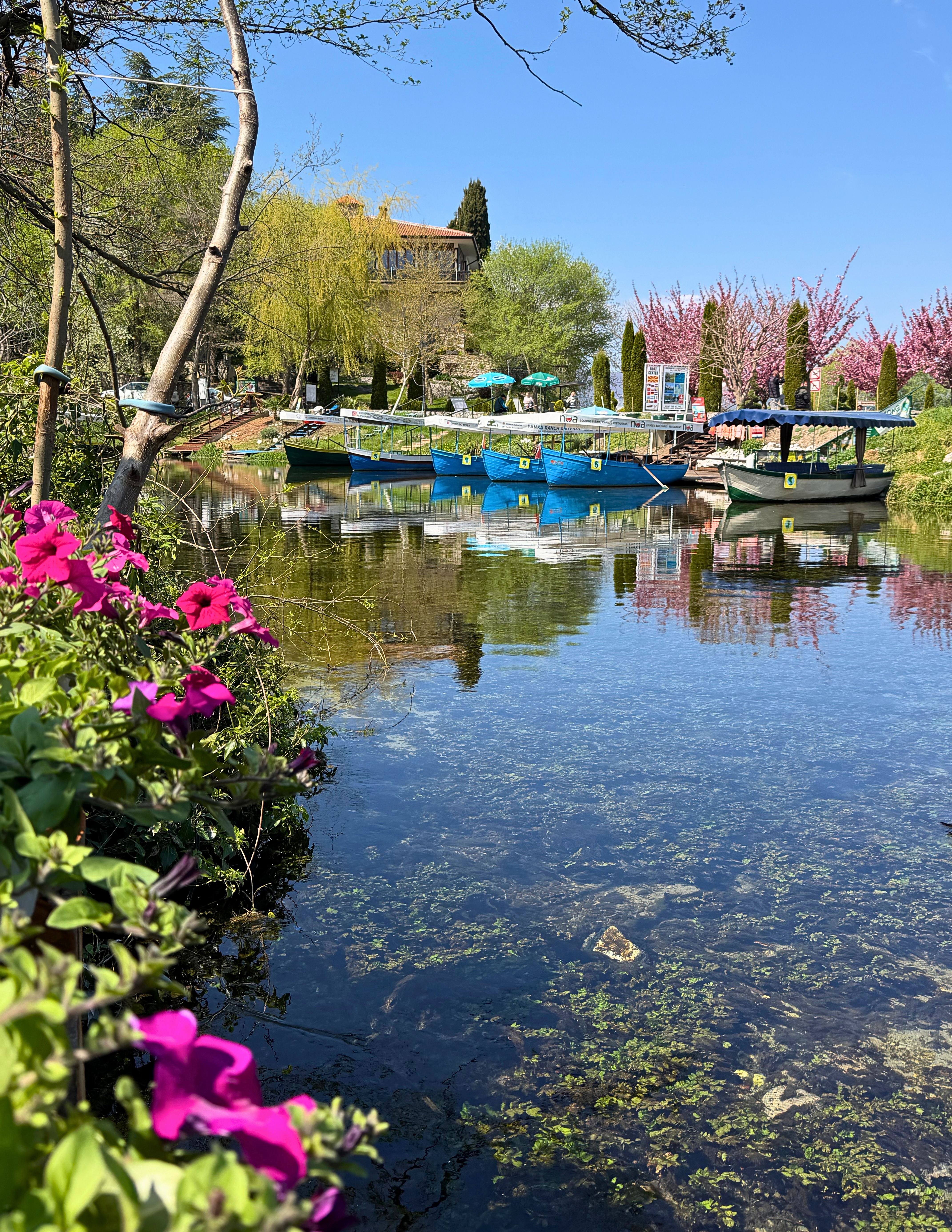 Rowboats waiting at the springs on the Saint Naum grounds