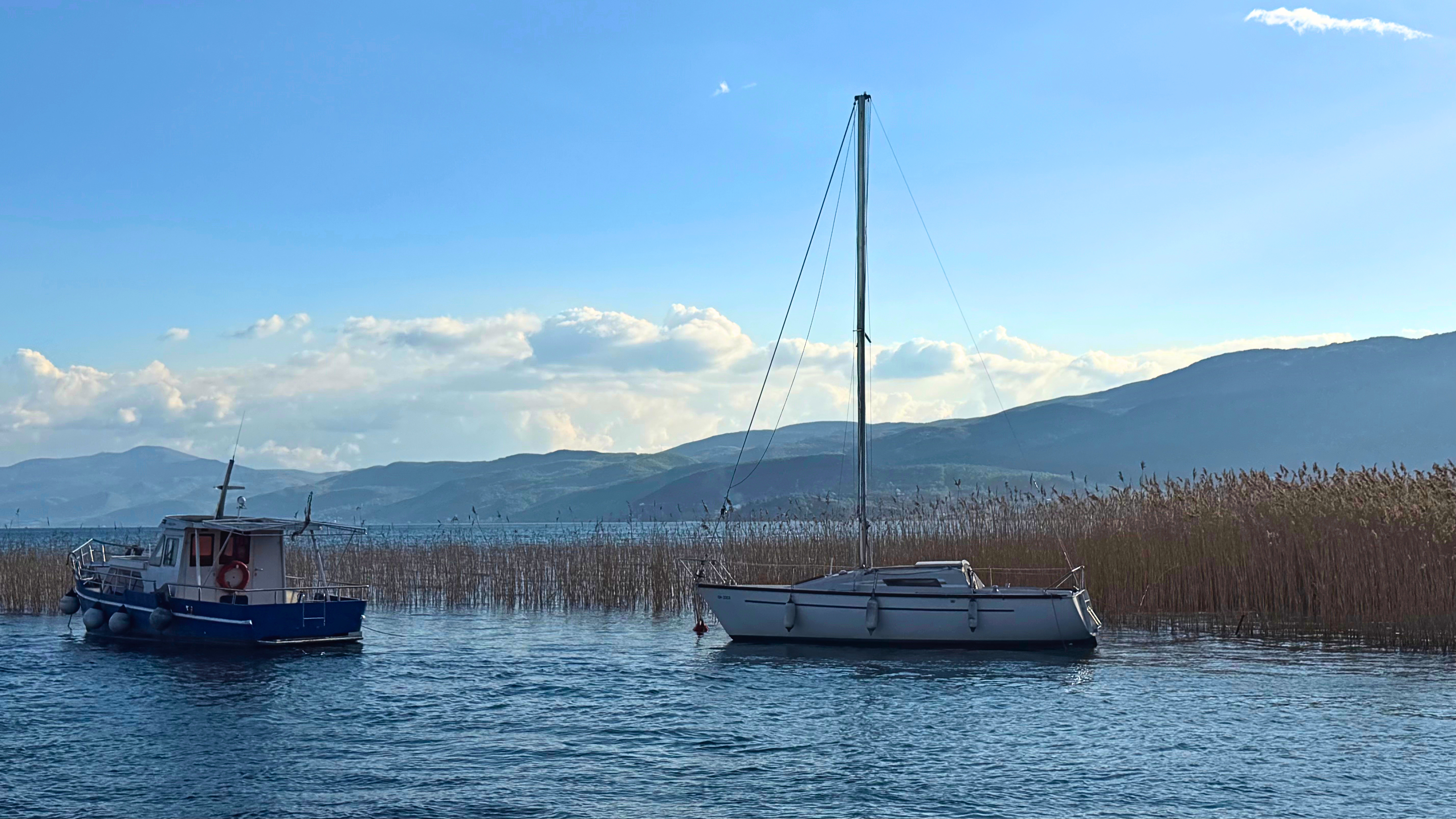 Boats anchored in the reeds along Lake Ohrid