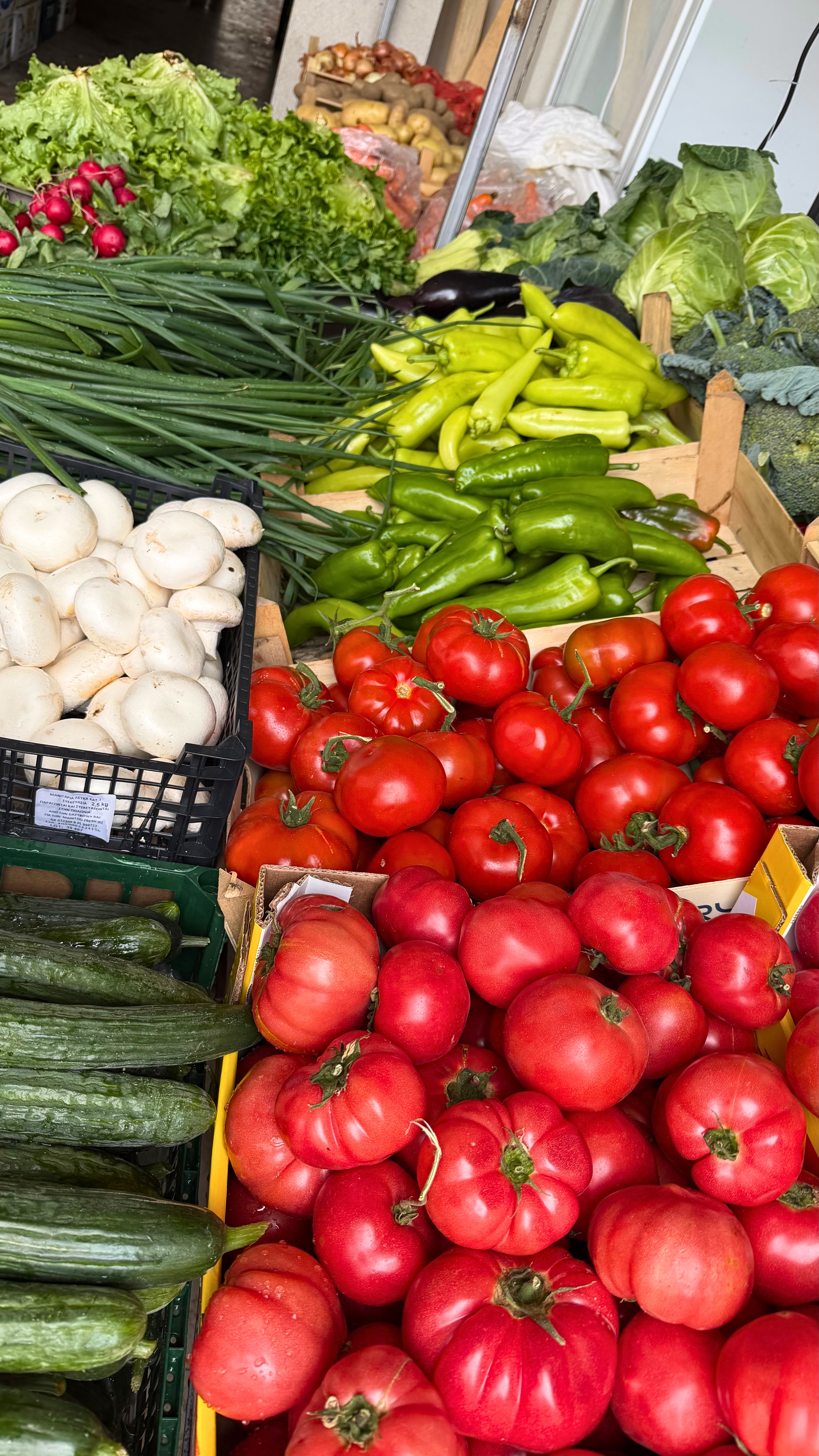 A produce stand in Ohrid with tomatoes, peppers, cucumbers, greens, mushrooms, potatoes, and other seasonal vegetables.