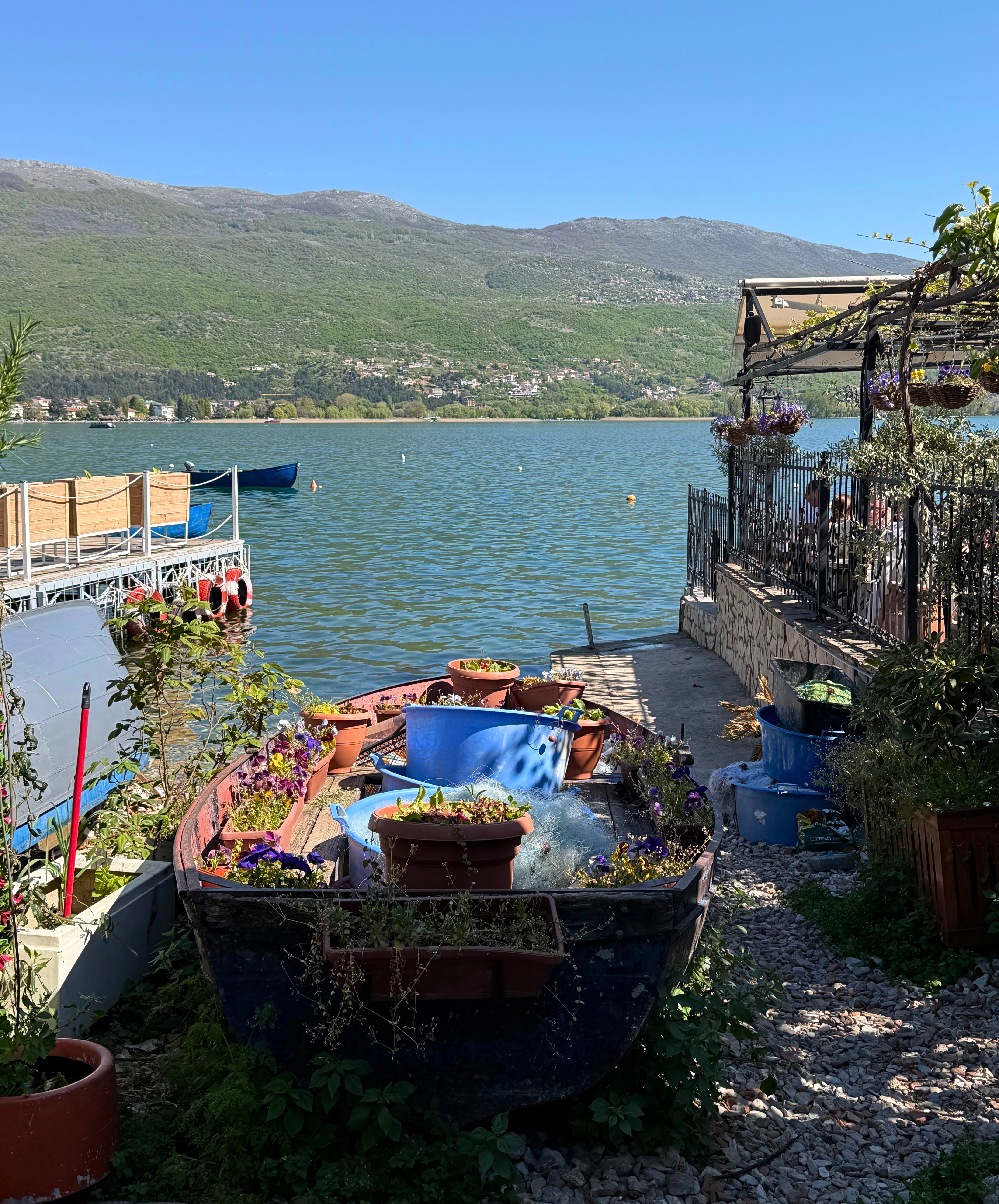 A small boat used as a garden beside Lake Ohrid, with flowers, planters, and mountains across the water.