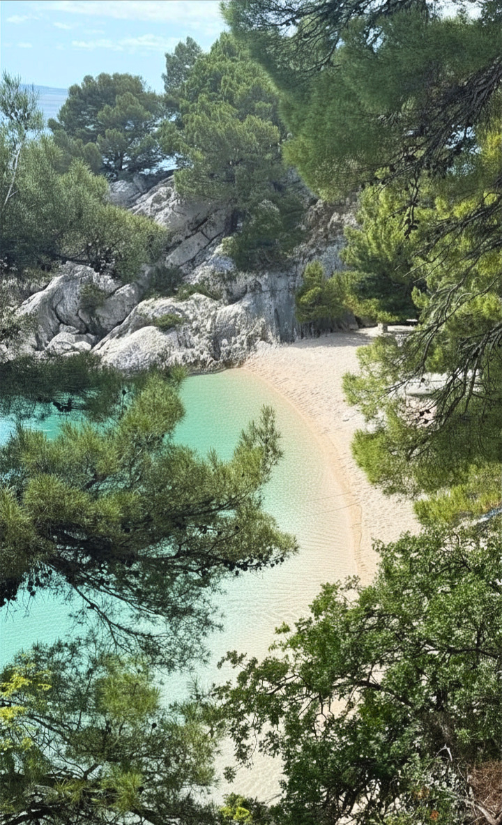 Plaža Podrače in Brela seen through pine trees above clear water and pale stone