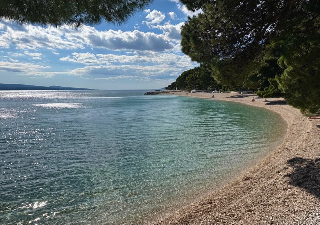 Punta Rata beach in Brela with pebble shore, pine shade, and clear Adriatic water