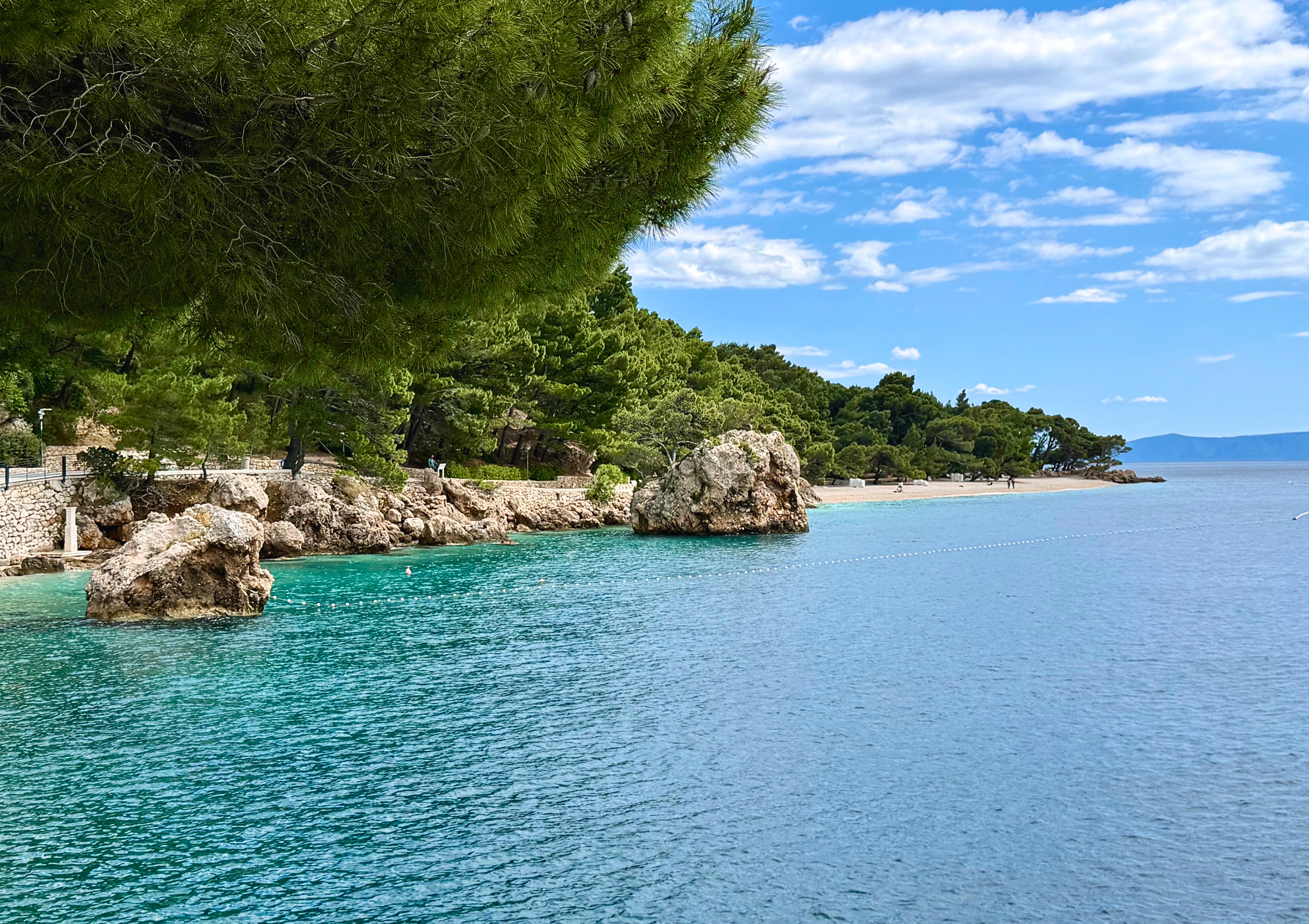 Coastline beyond Punta Rata with pine trees, pale rock, and open Adriatic water