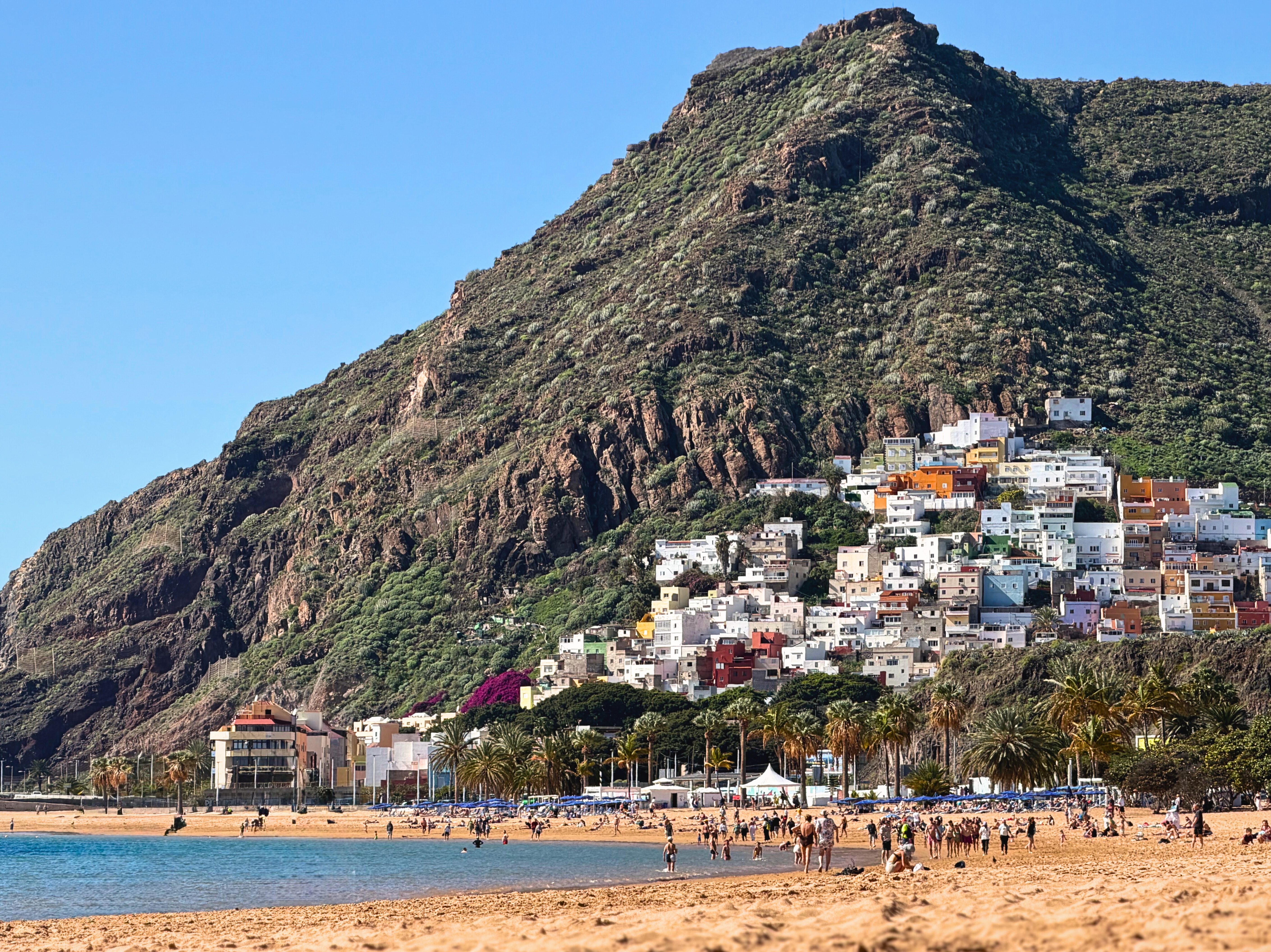 Playa de las Teresitas with golden sand, calm water, palm trees, and the Anaga mountains behind it.