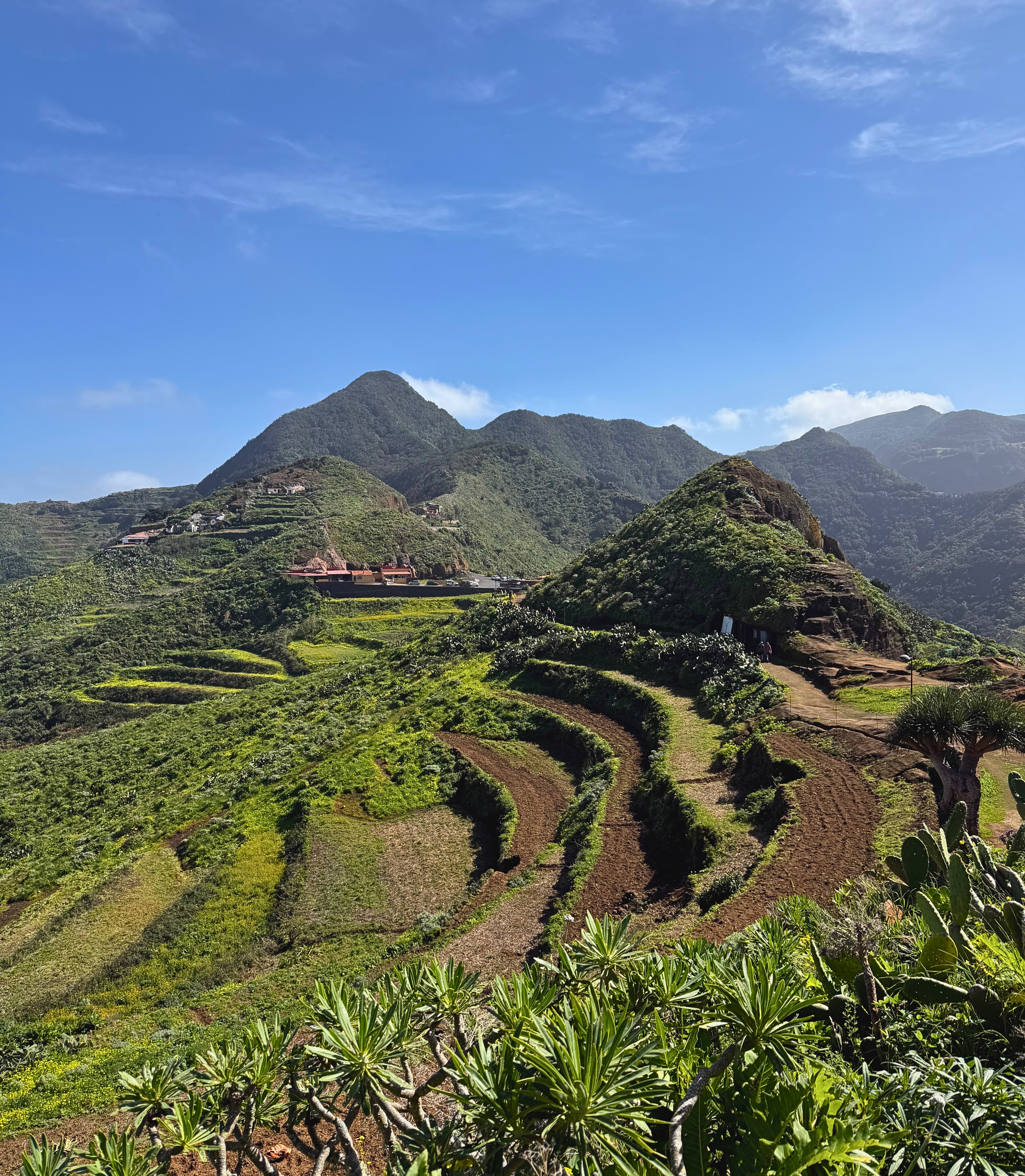 Terraced green hillsides in the Anaga mountains under blue sky.