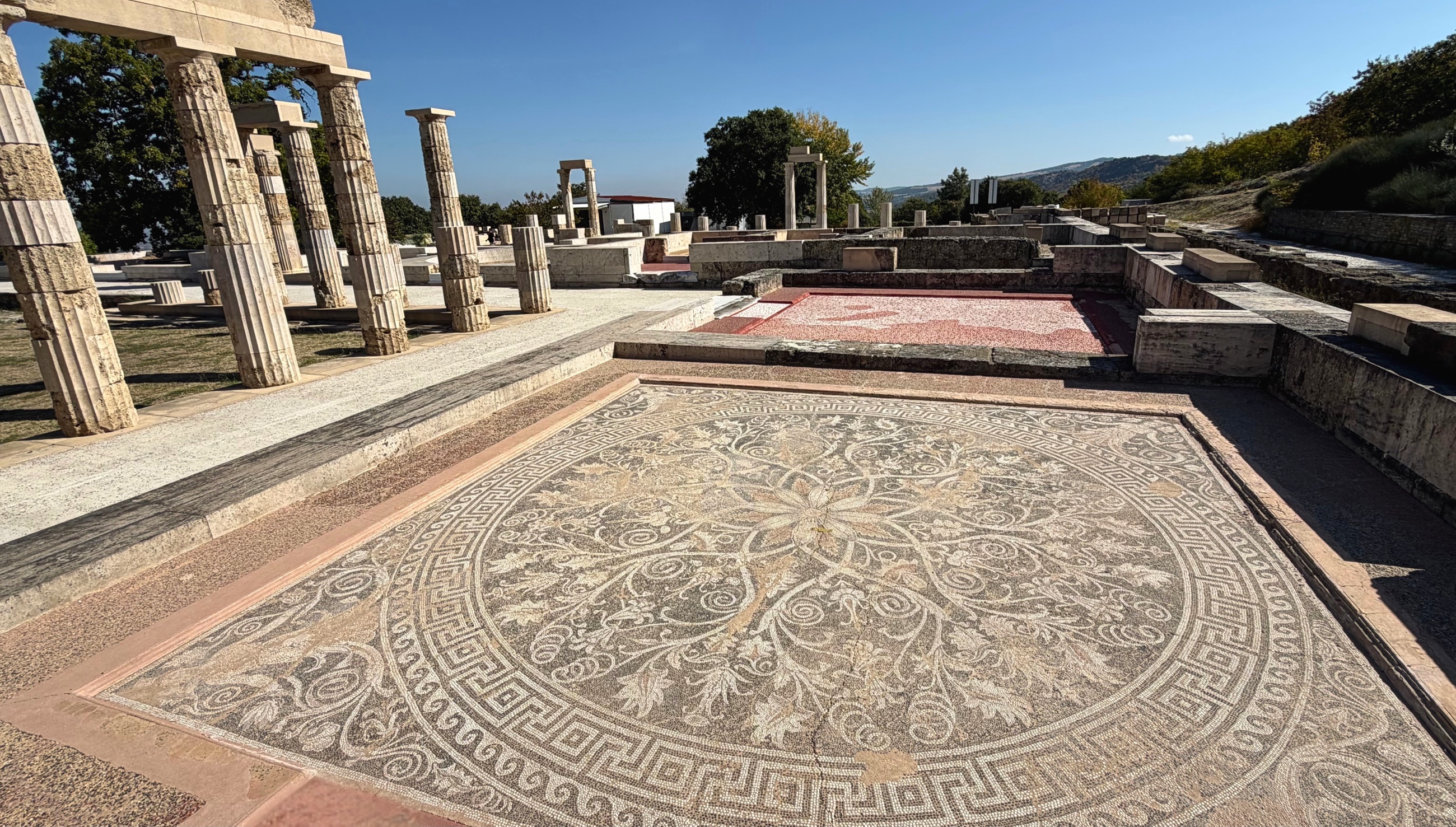 Circular floor mosaic at the Palace of Aigai