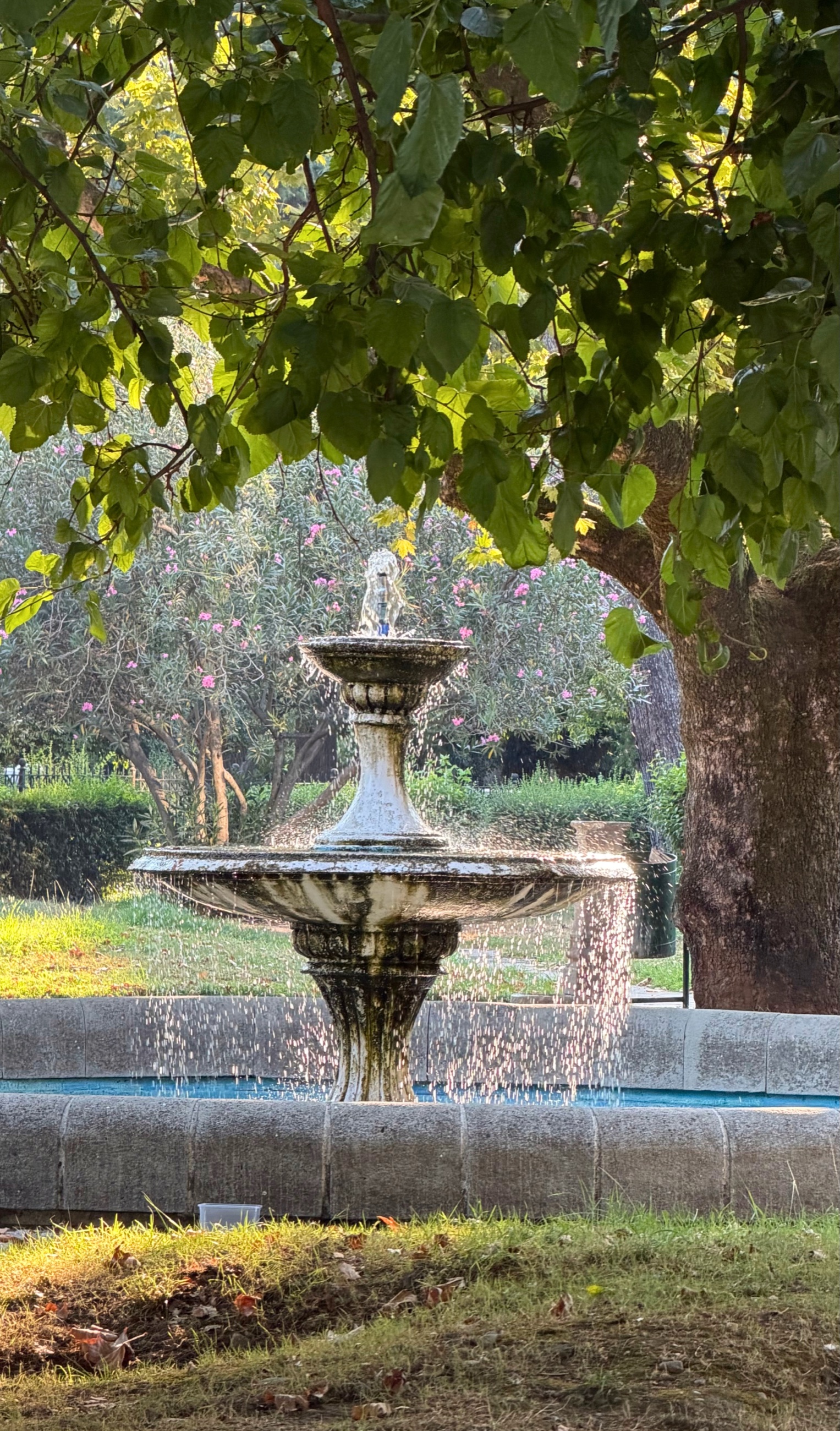 A shaded fountain beneath mature trees in a green public space in central Tirana.