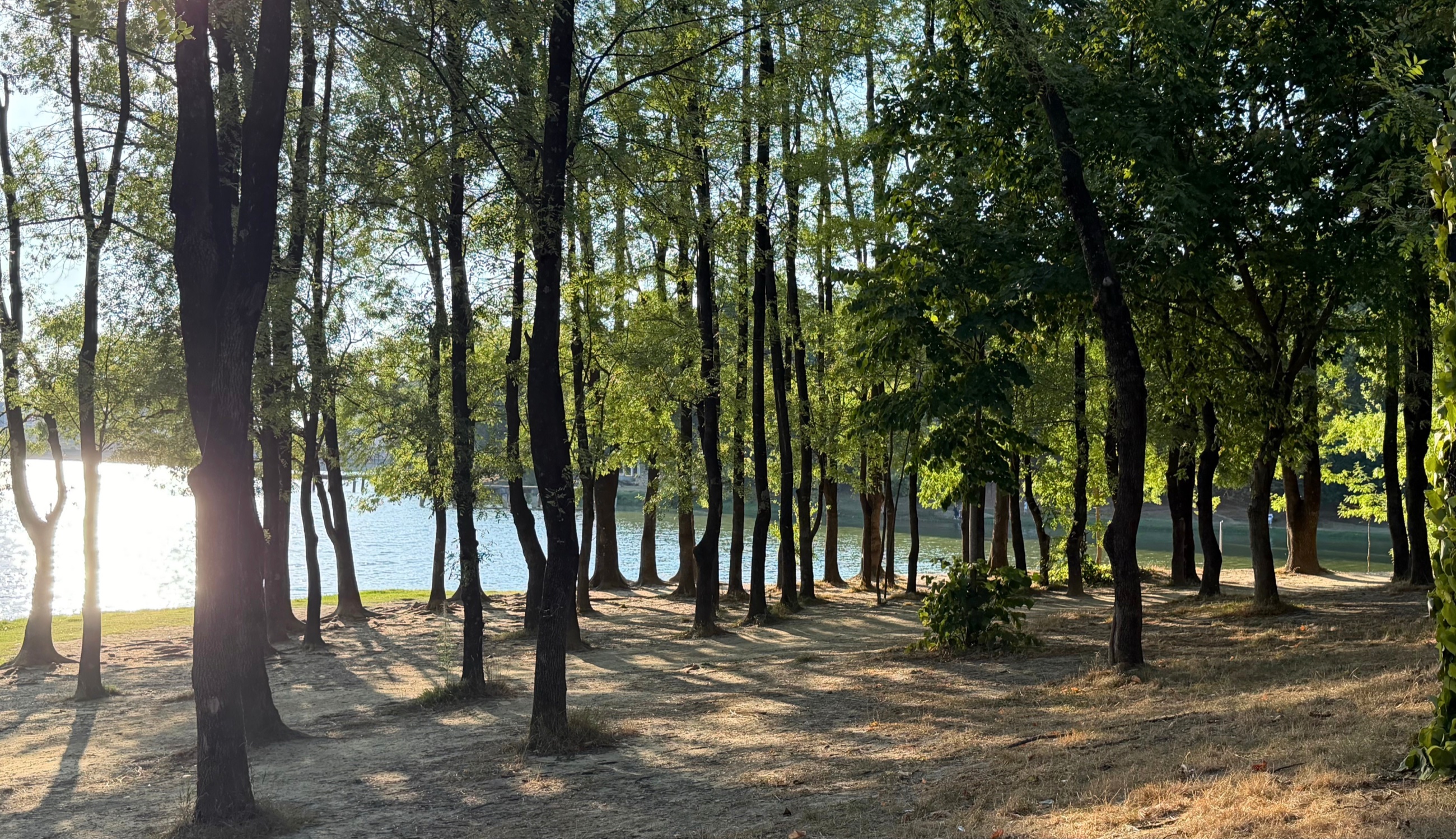 Late-afternoon sunlight filtering through trees beside the Artificial Lake in Tirana's Grand Park.