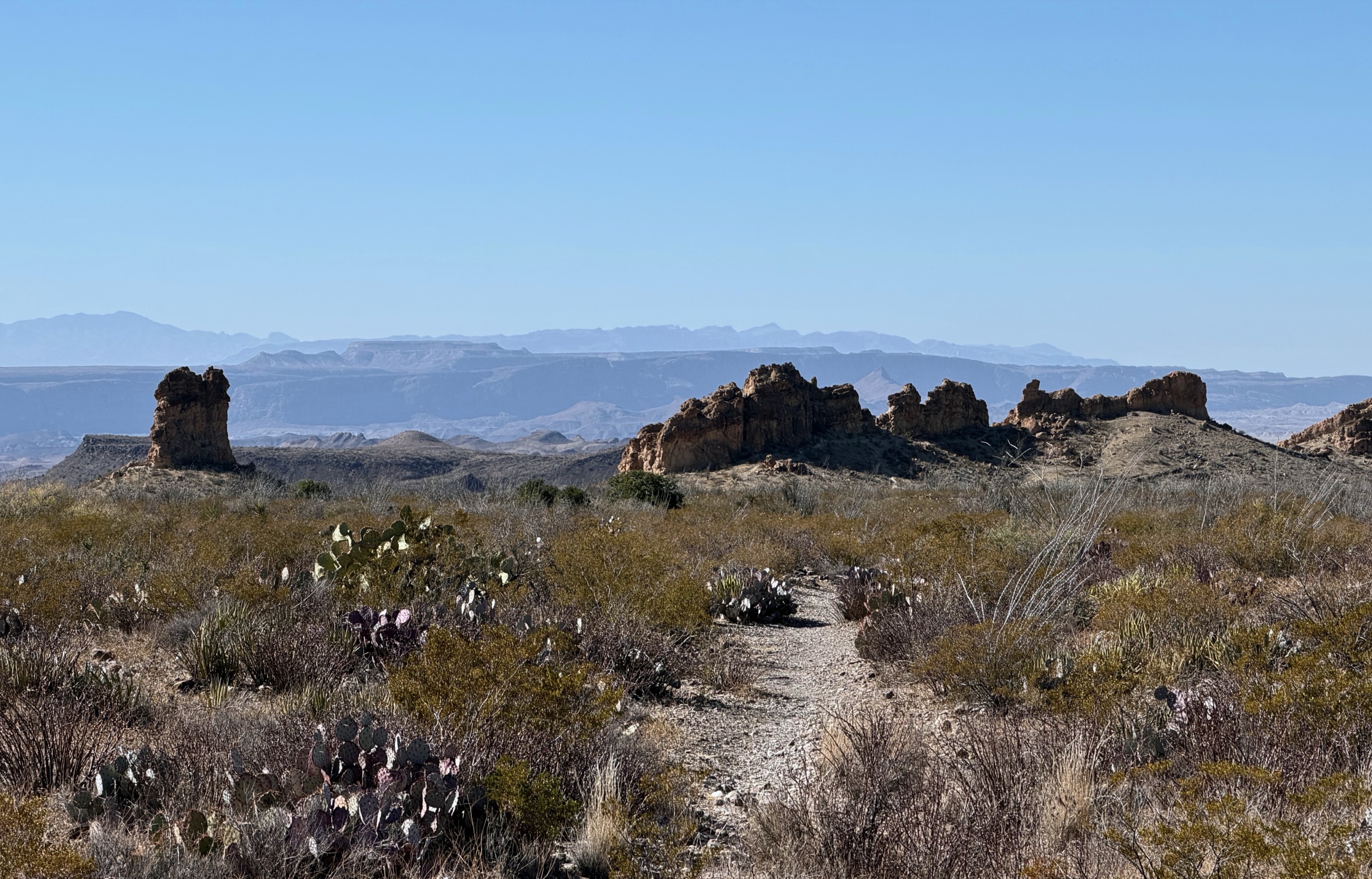 Wide desert terrain extending toward distant mountains in Big Bend National Park.