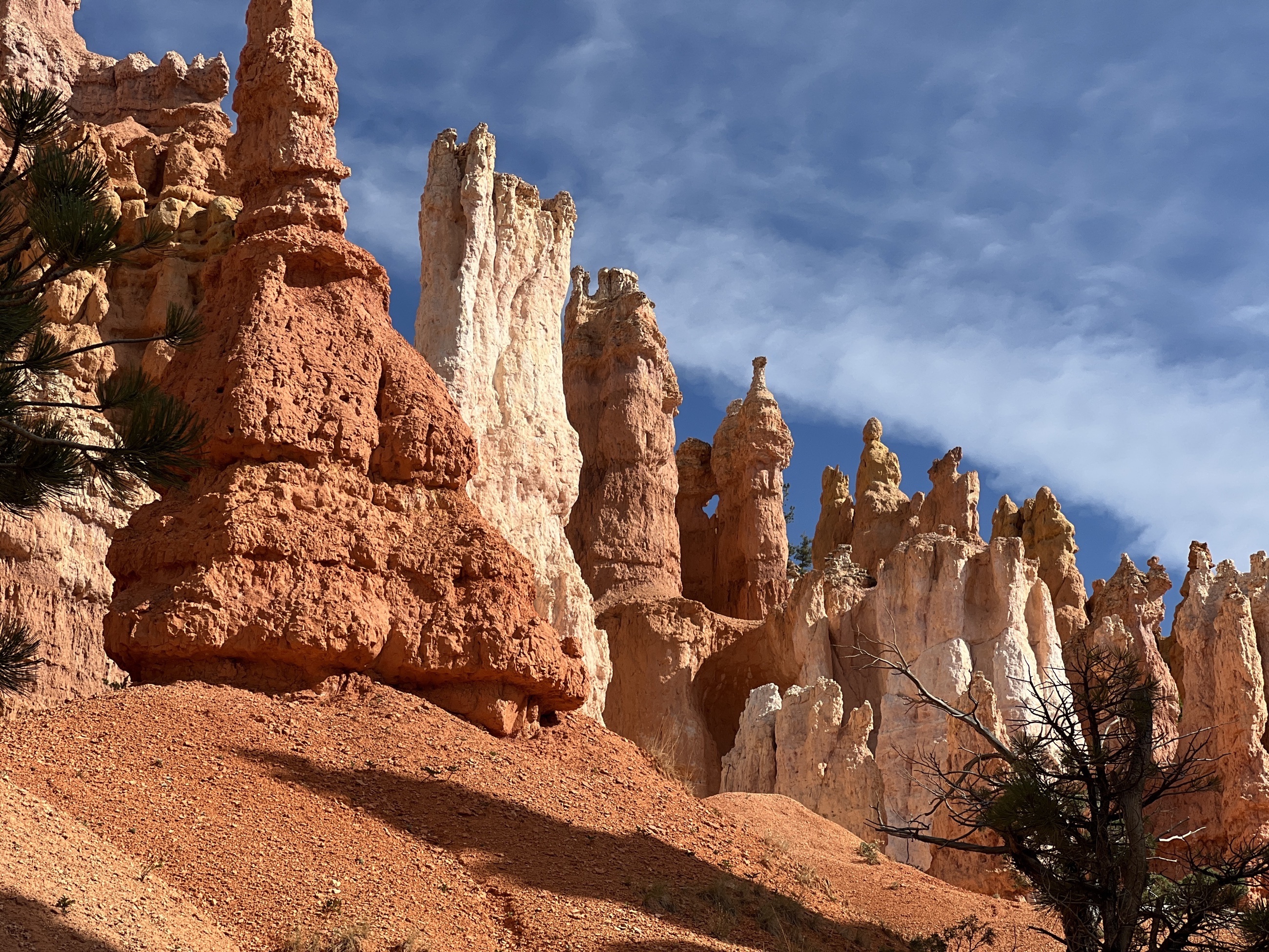 Rows of hoodoos and eroded limestone formations in Bryce Canyon Amphitheater.
