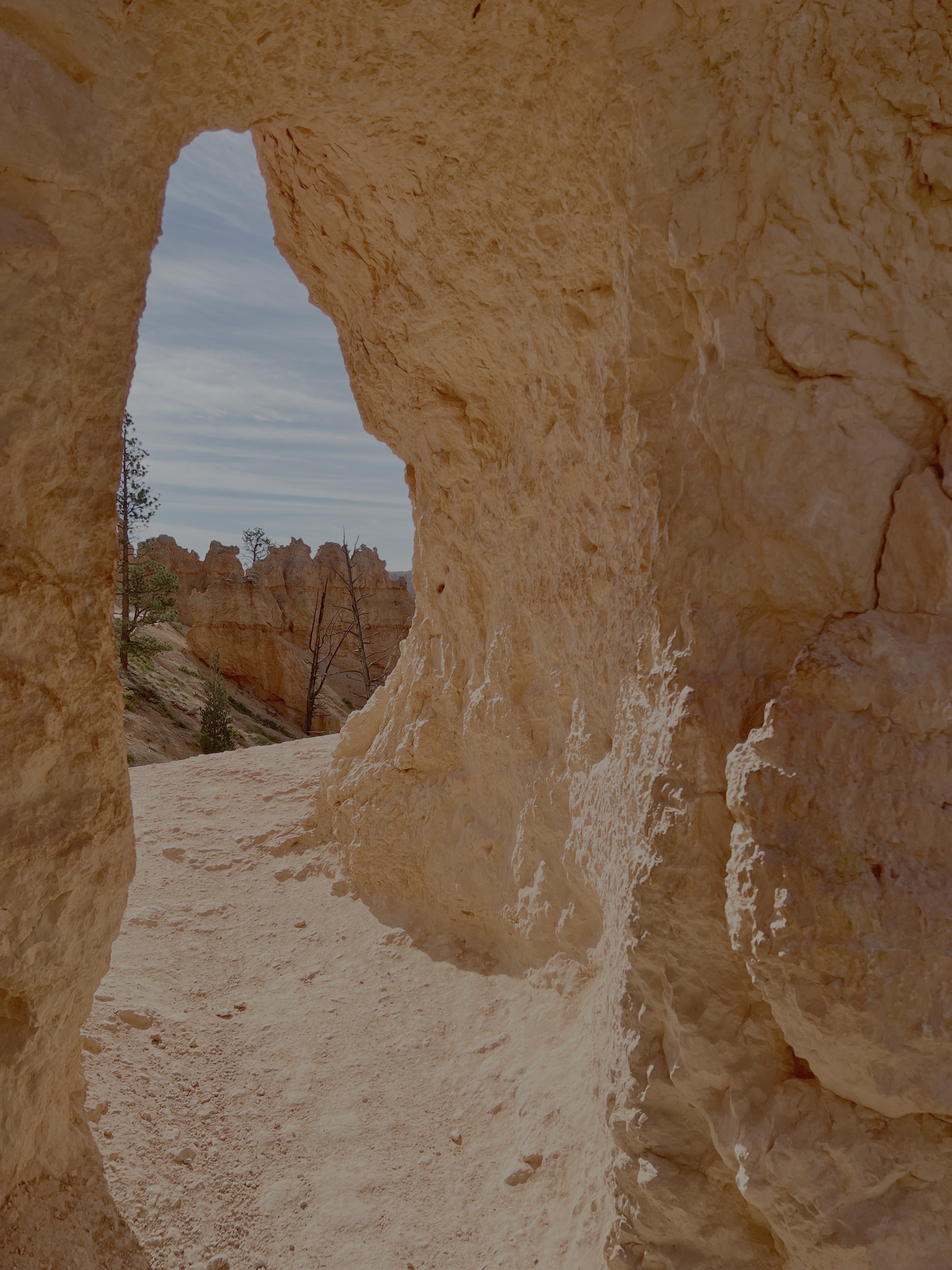 A natural rock window along the Queen's Garden Trail in Bryce Canyon.