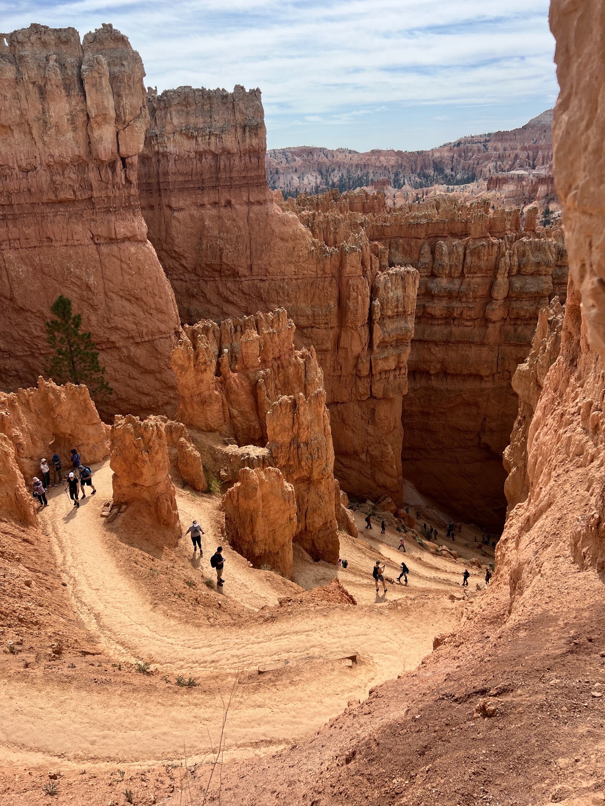 Hikers climbing the Wall Street switchbacks on the Navajo Loop in Bryce Canyon.