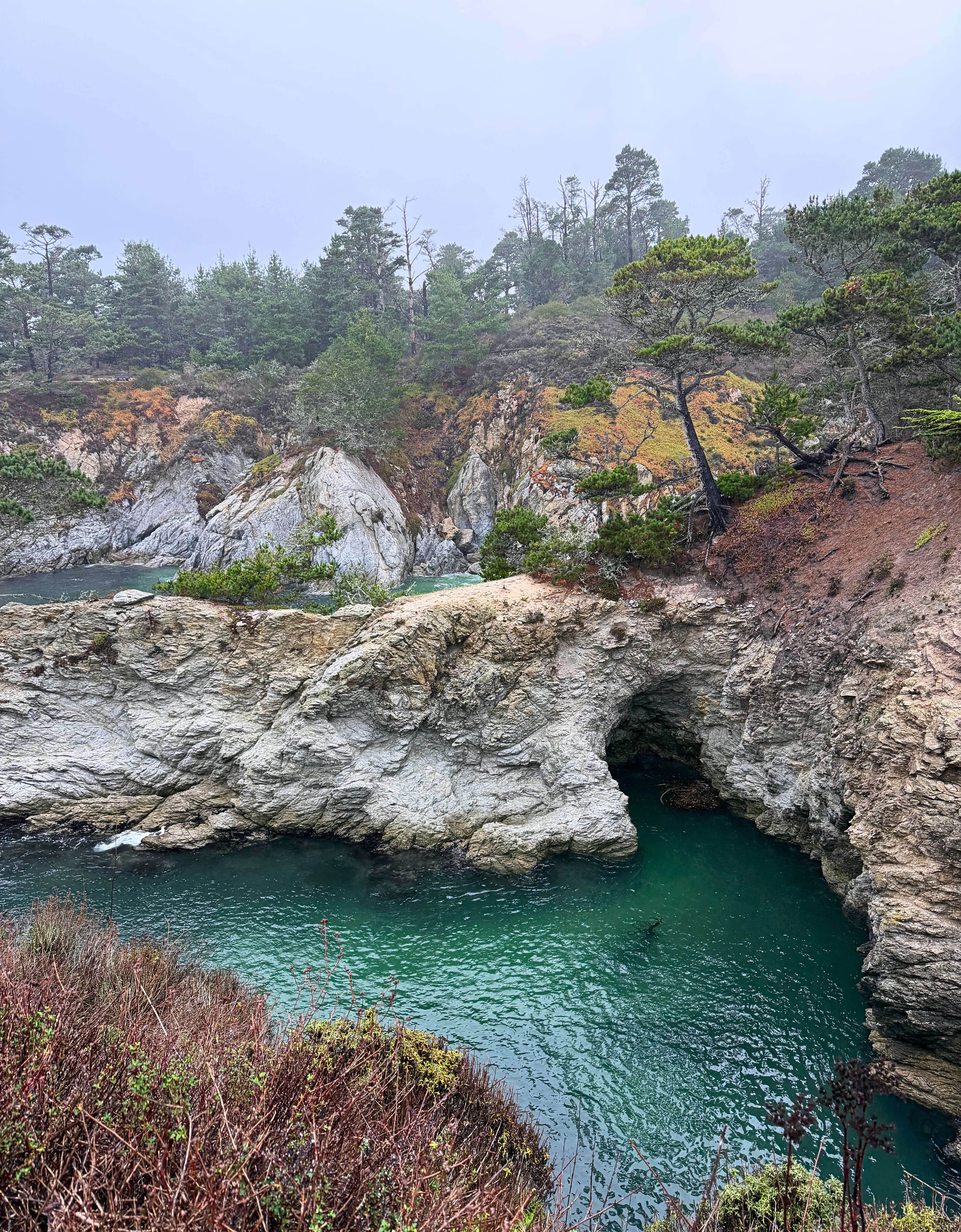 A sheltered cove at Point Lobos State Natural Reserve