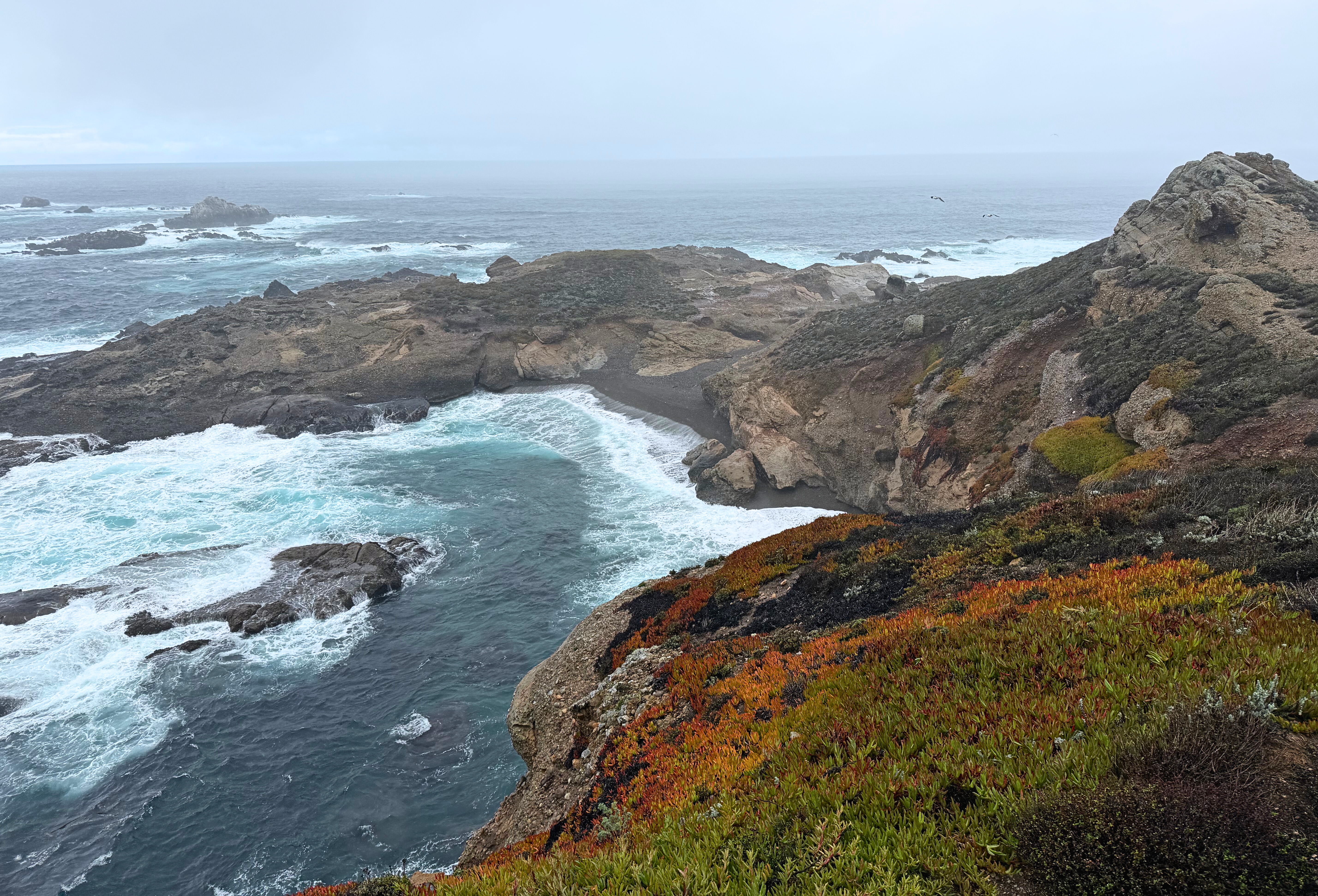 Waves breaking over rocks at Point Lobos as mist drifts across the water