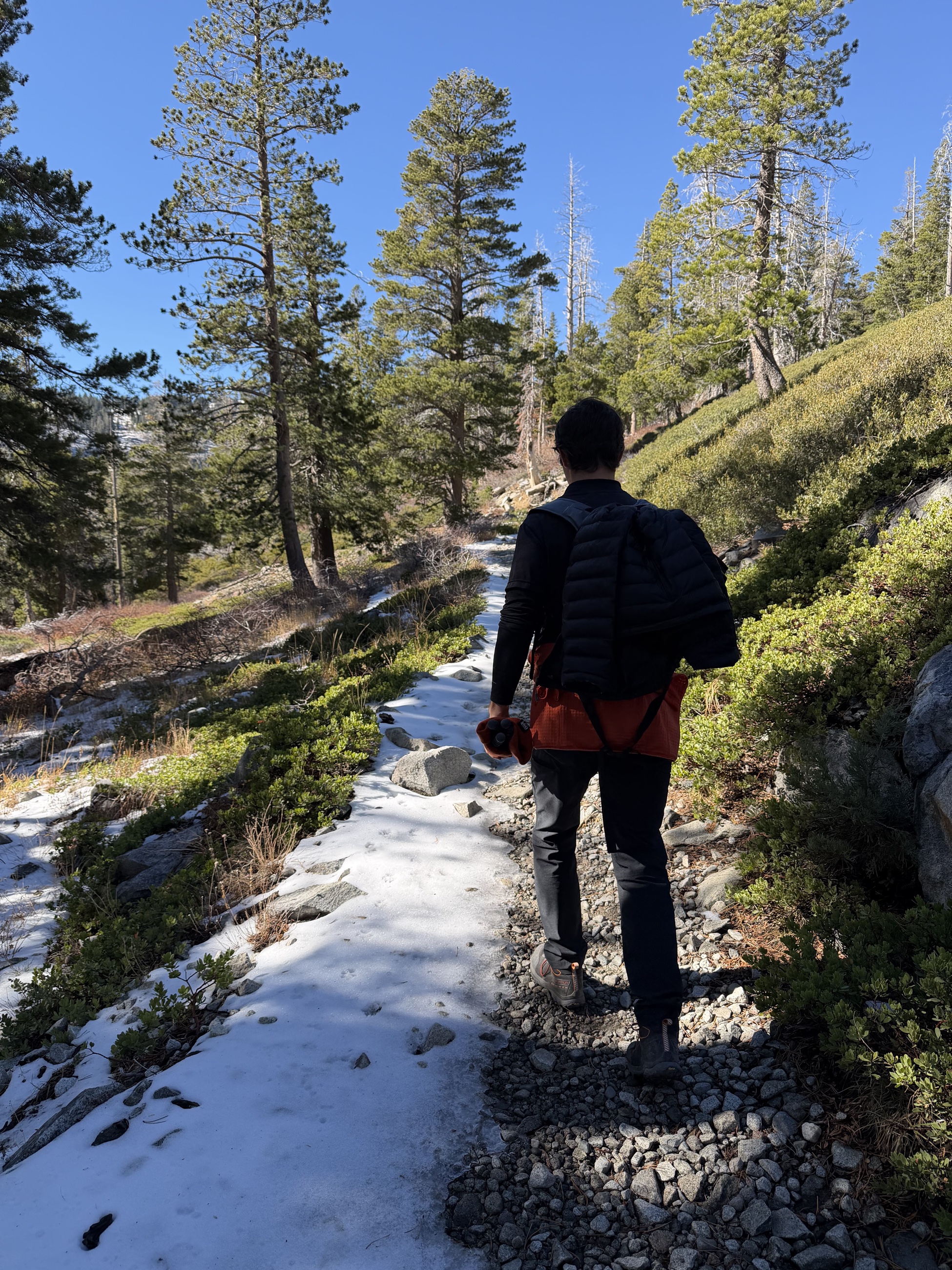 Sam walking through a snow-covered section of forest trail.