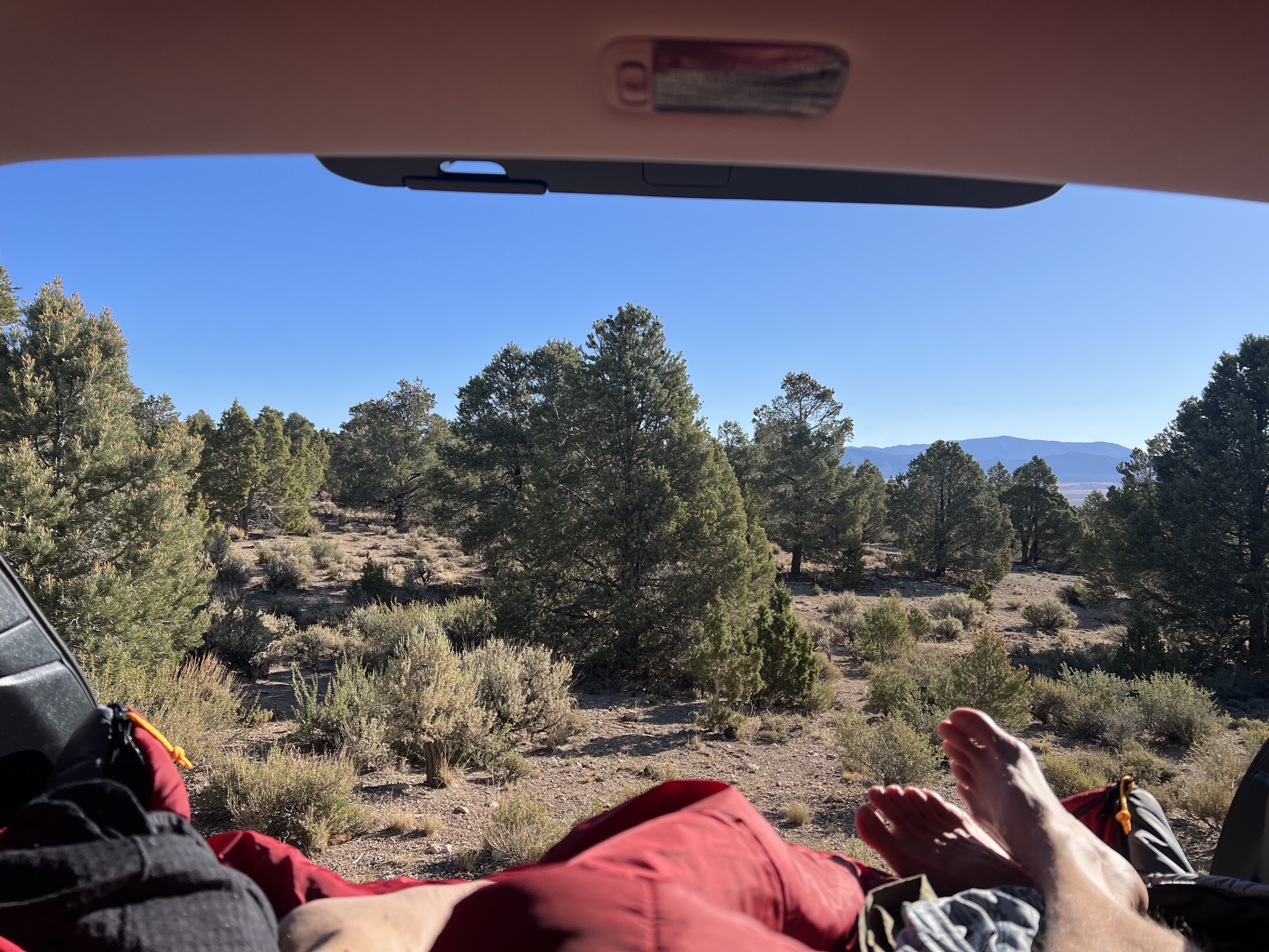A car-camping setup inside a Subaru Outback near Great Basin National Park.