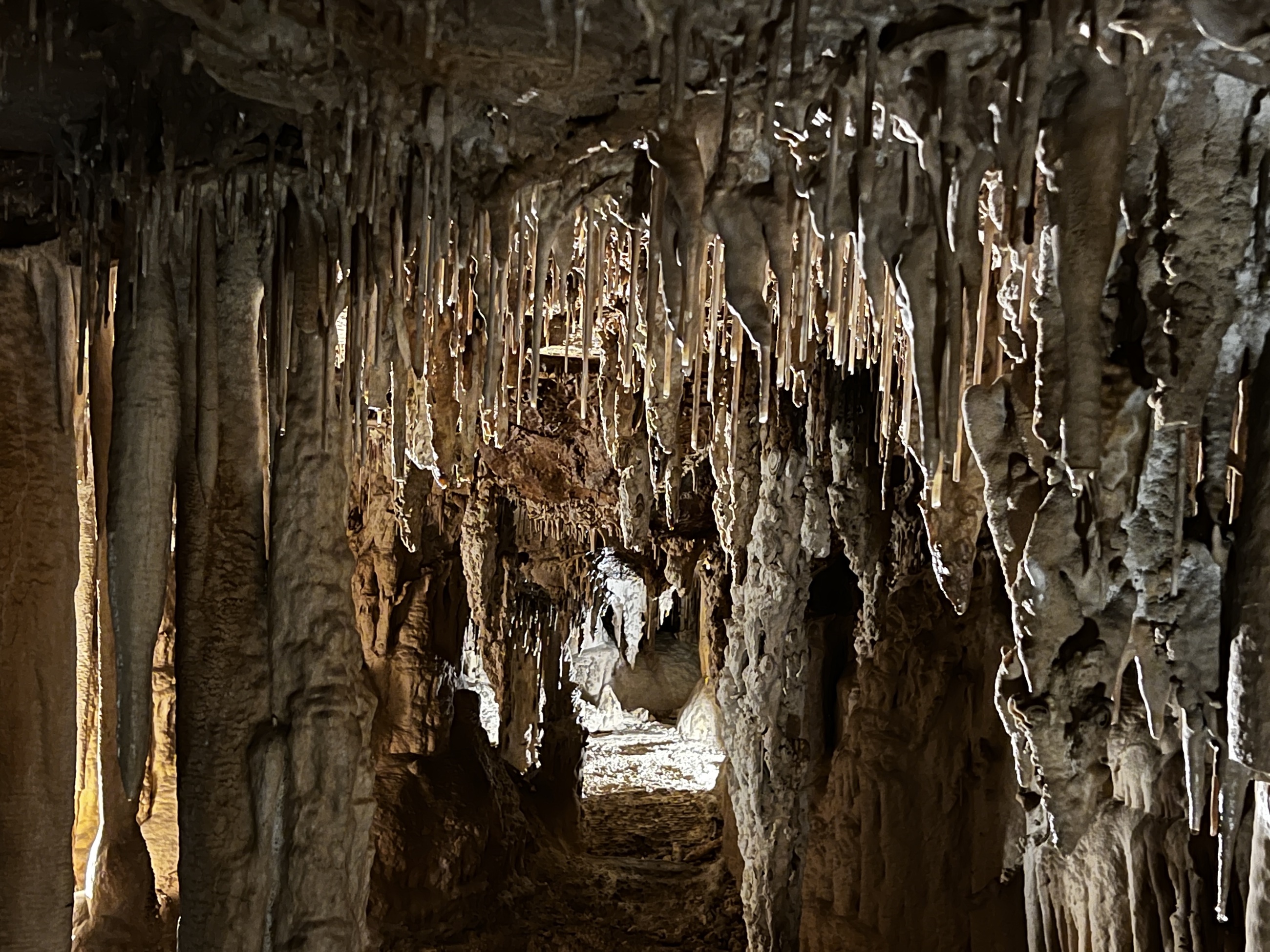 Stone formations inside Lehman Caves in Great Basin National Park.