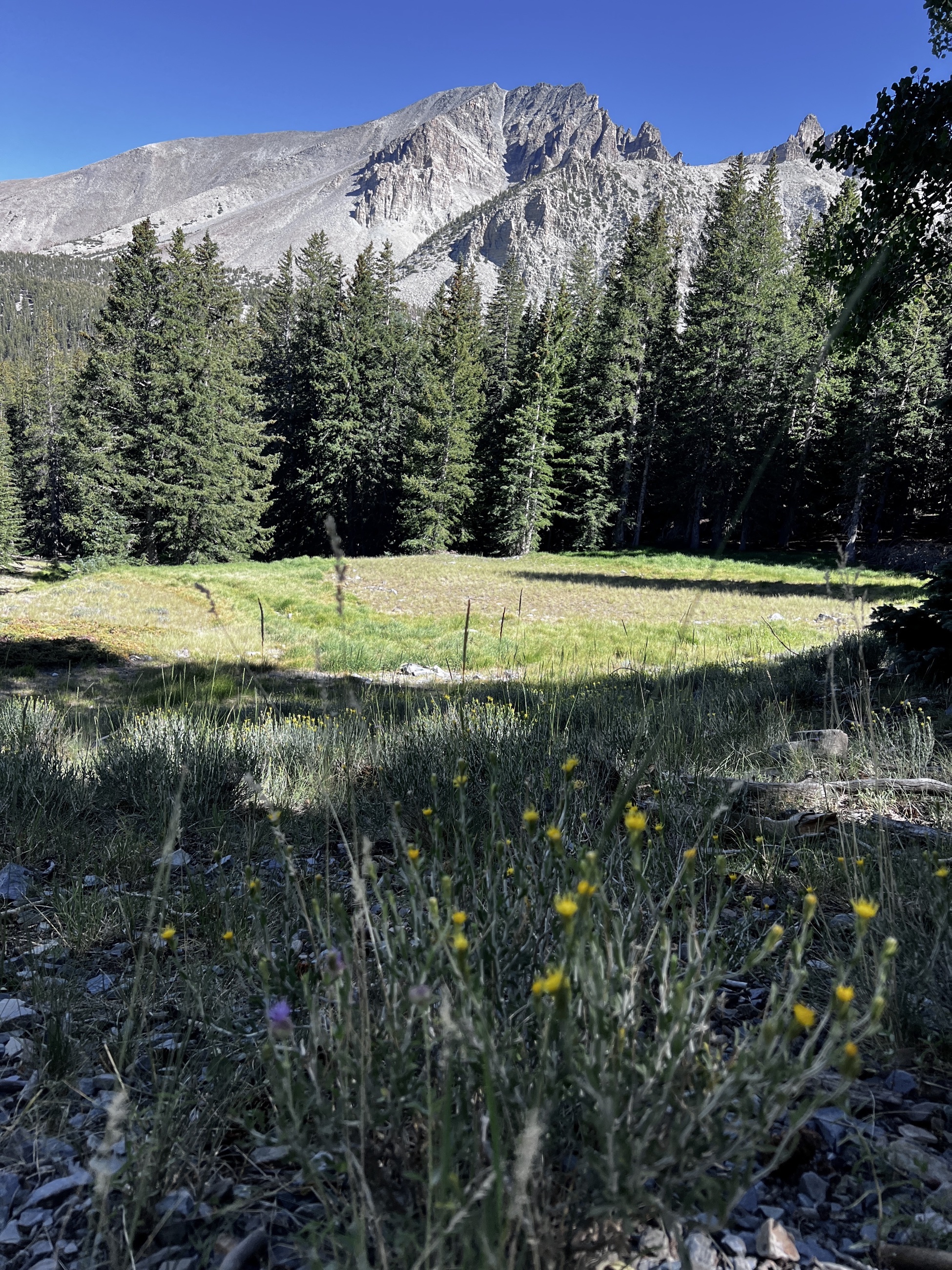 Wheeler Peak rising above Great Basin National Park.