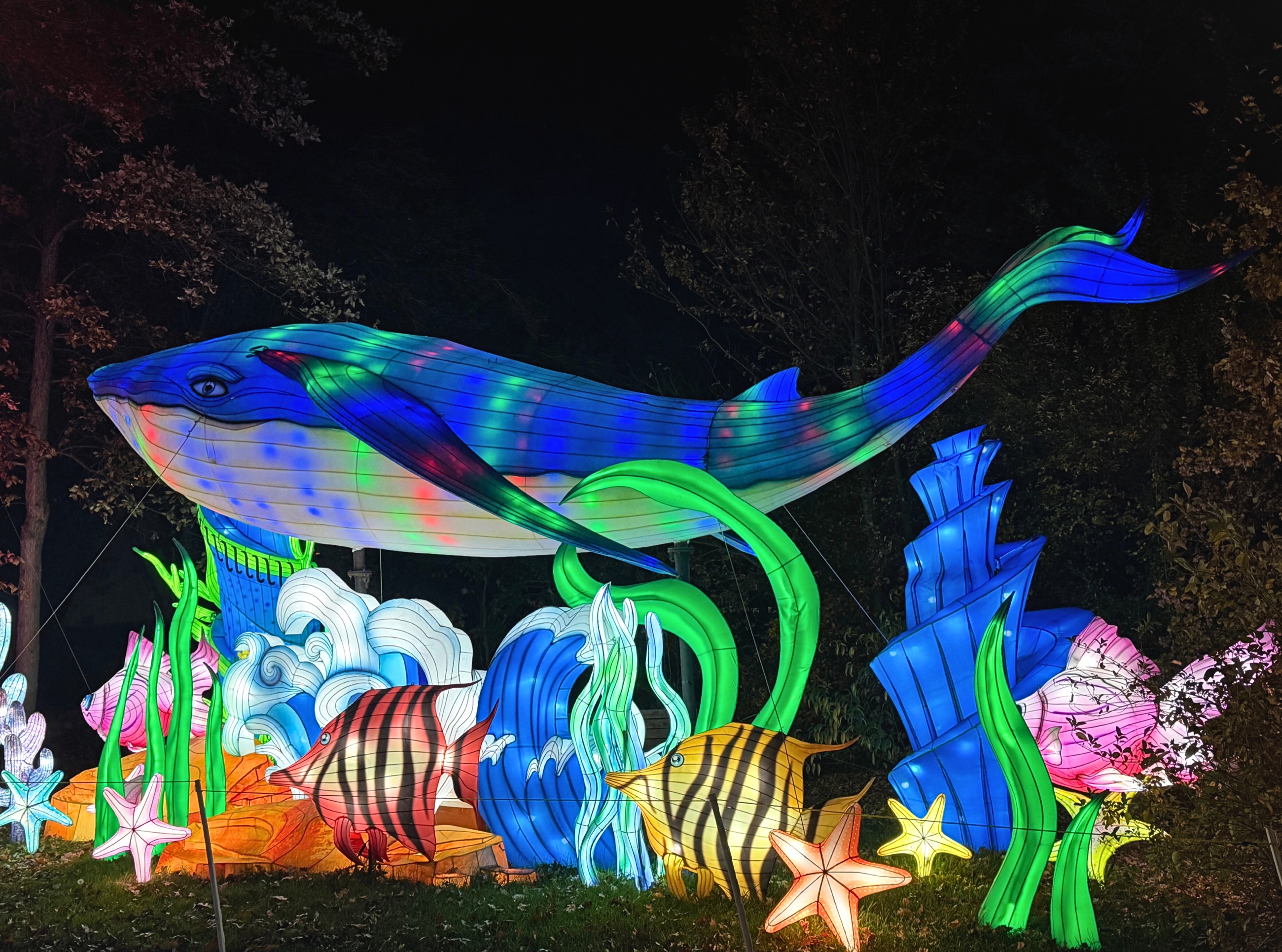 A large illuminated whale above lantern fish, waves, and sea plants at Dragon Lights Reno.