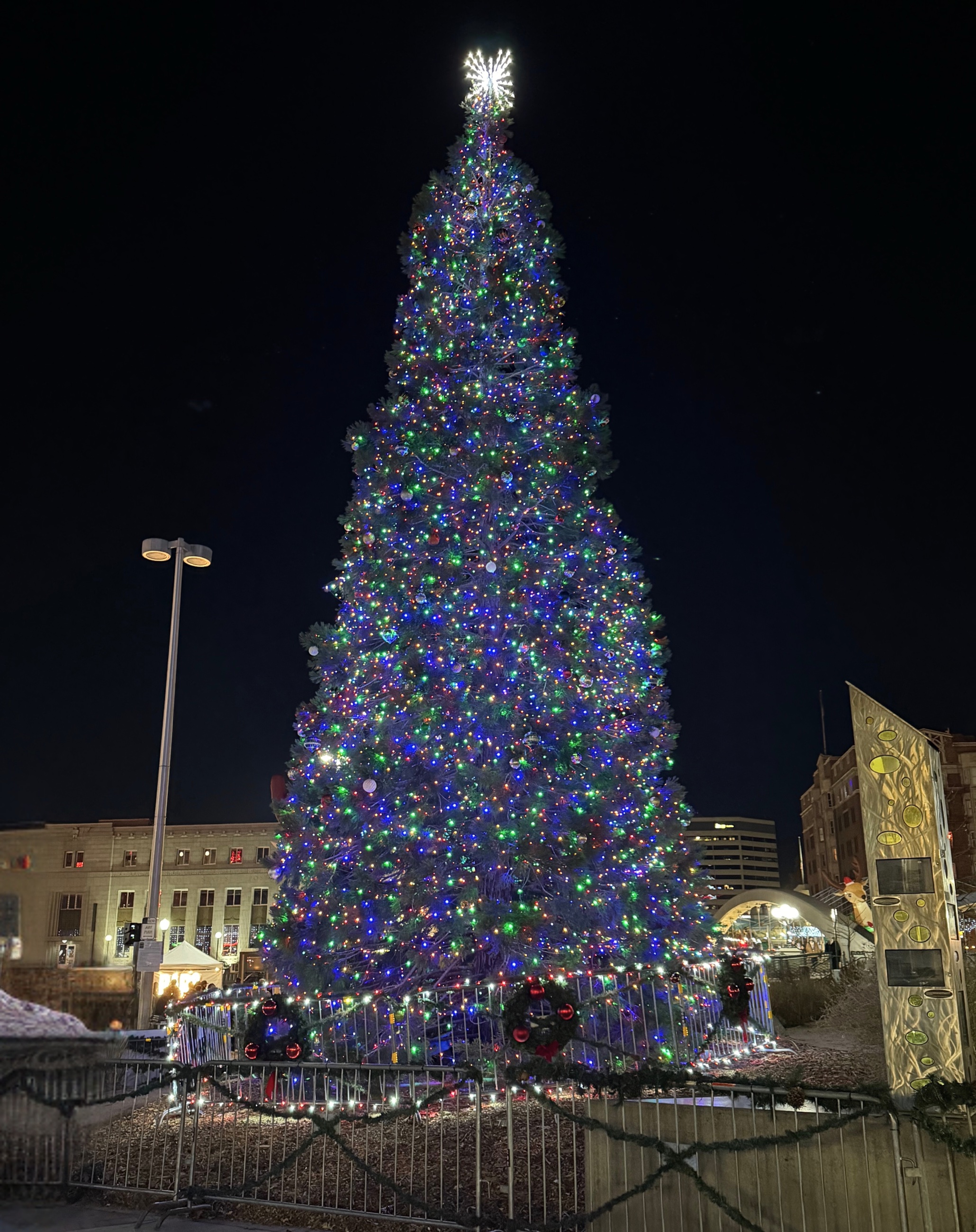 The illuminated Reno Christmas tree standing at City Plaza at night.