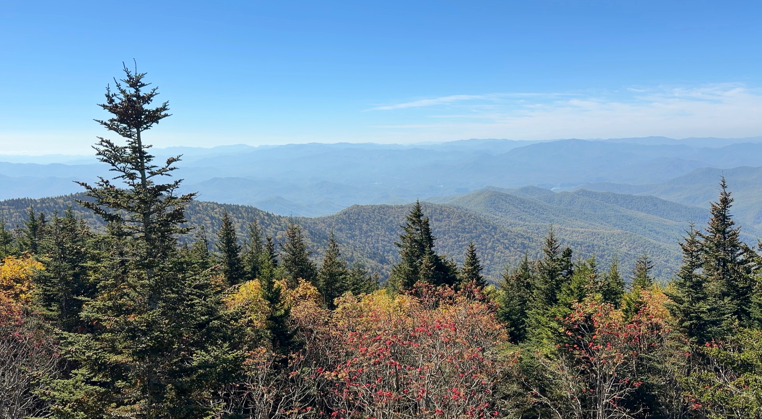 Autumn color and distant mountain horizon in Great Smoky Mountains National Park.