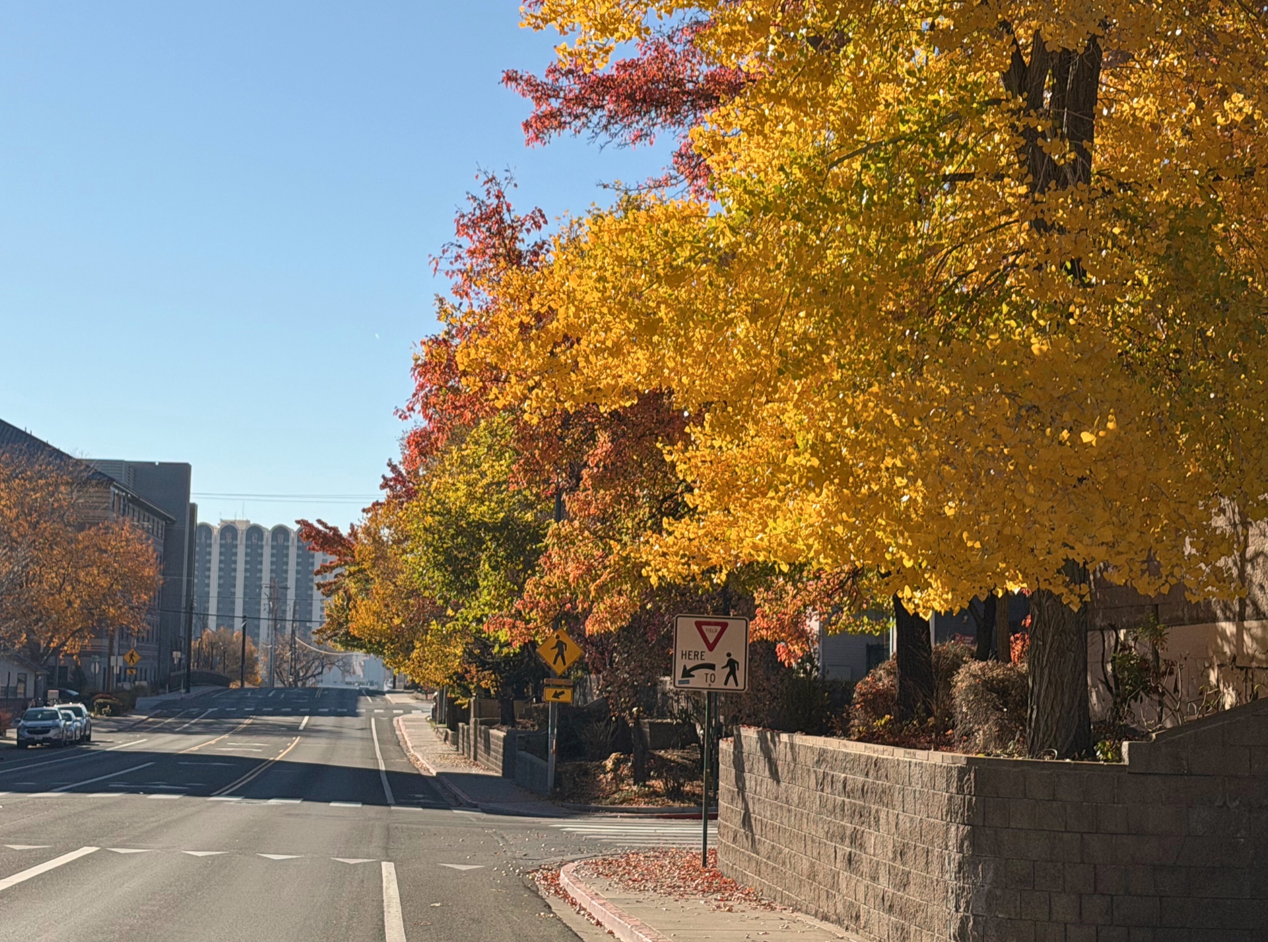 An autumn street lined with changing trees in Reno