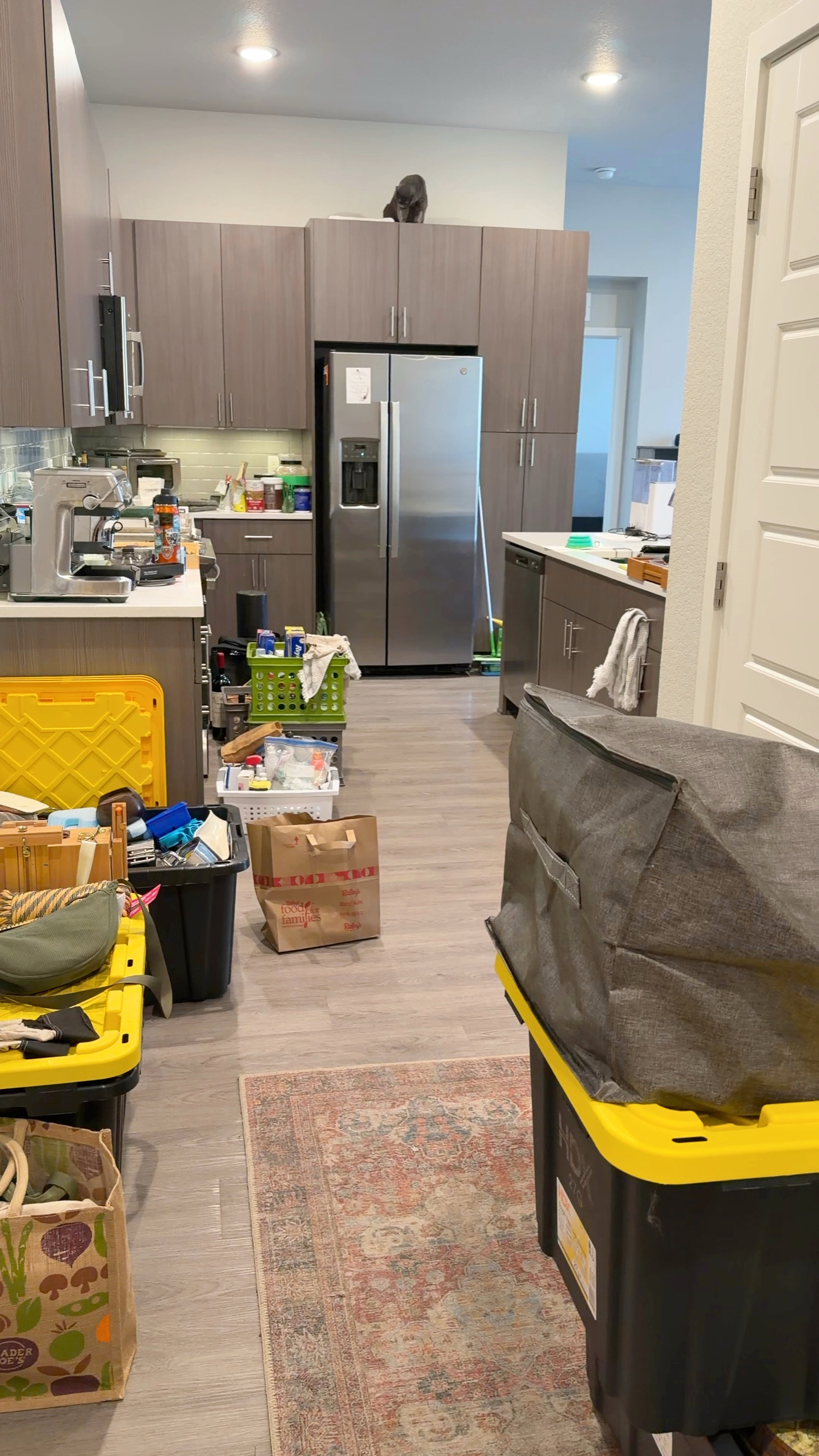 The remaining household gathered into bins, bags, and loose items along the apartment kitchen corridor.