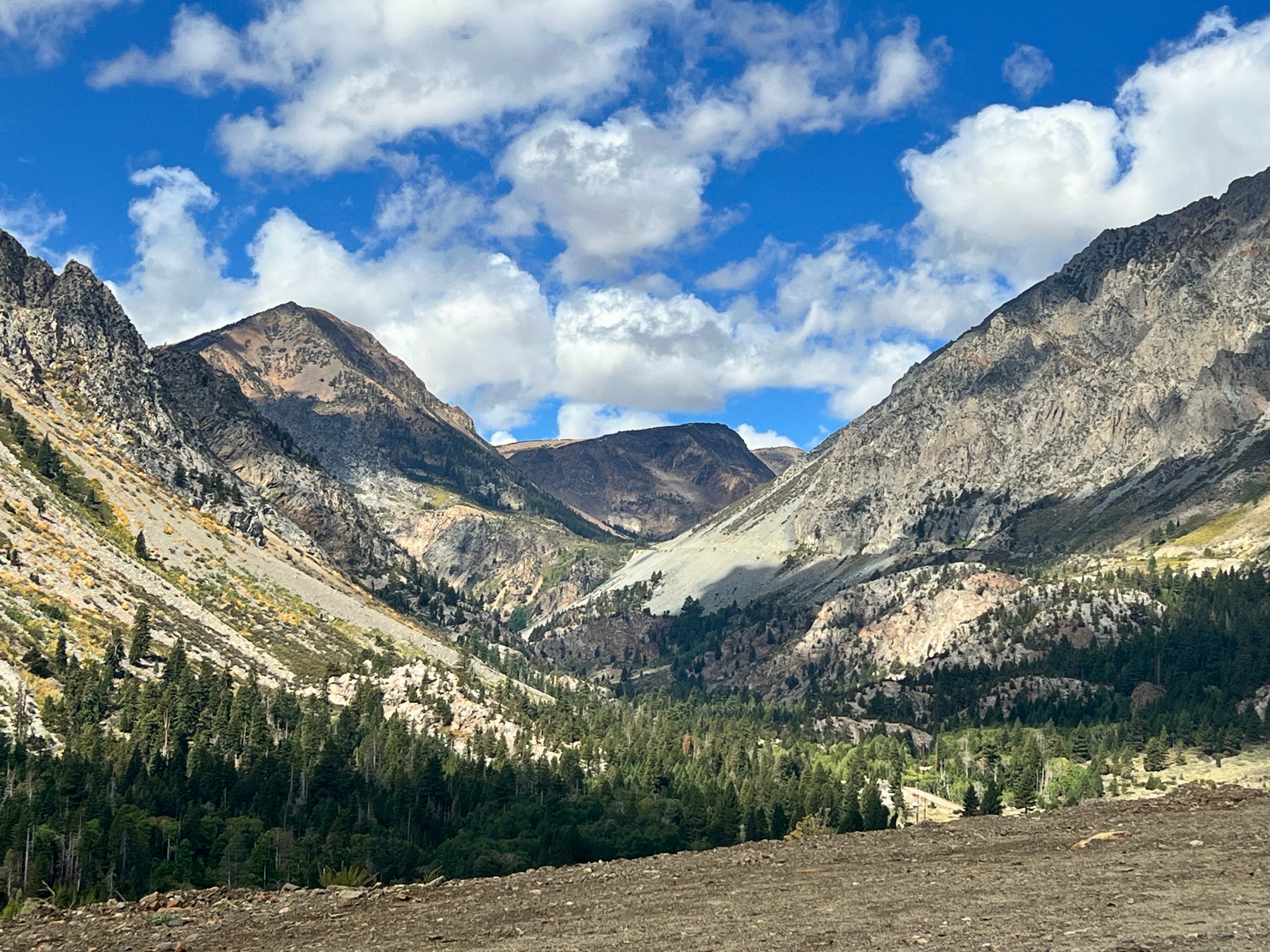 Granite peaks and a forested valley along the Sierra Nevada approach into Yosemite from the Nevada side.