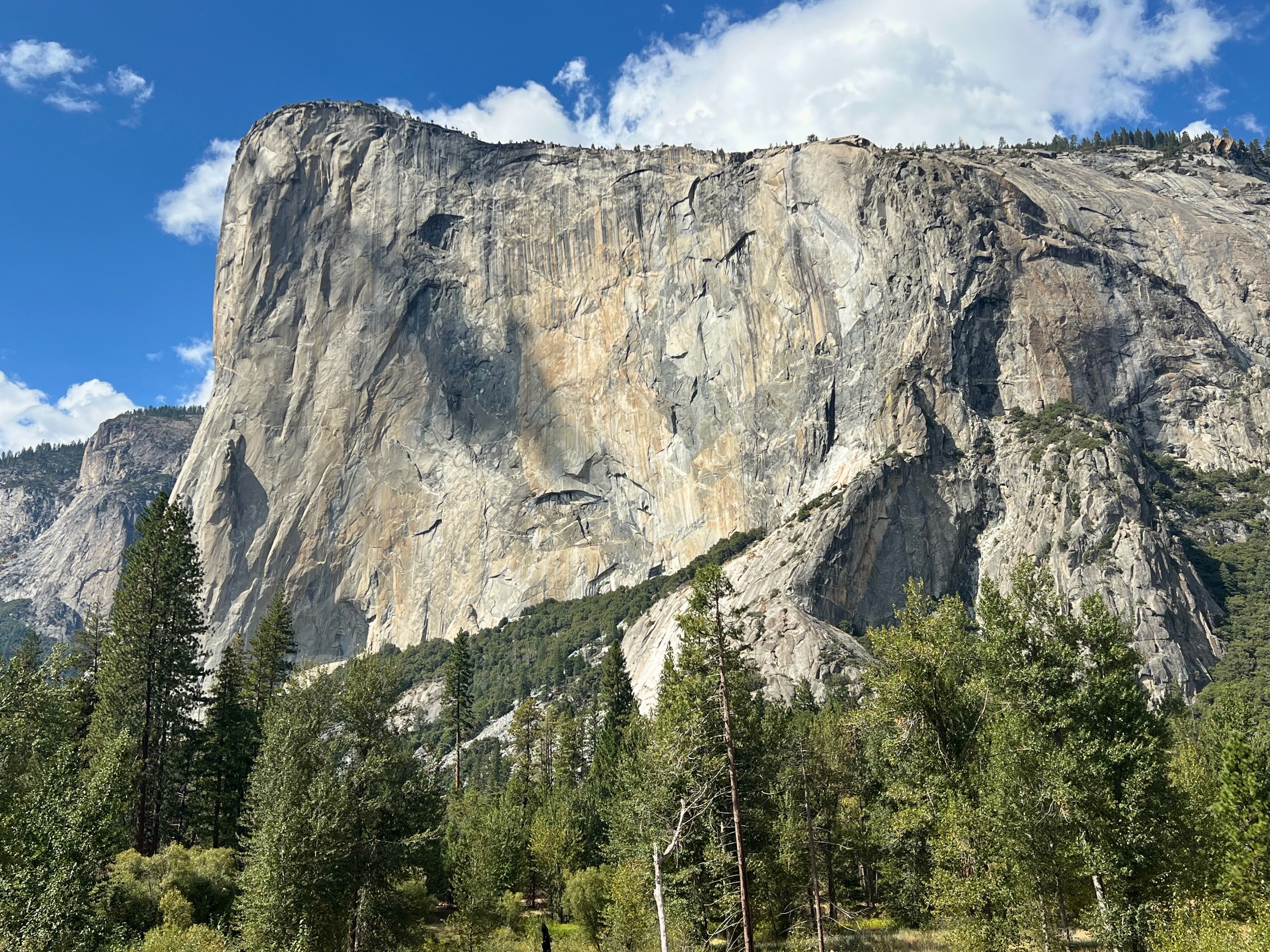 El Capitan rising above the trees on the Yosemite Valley floor.