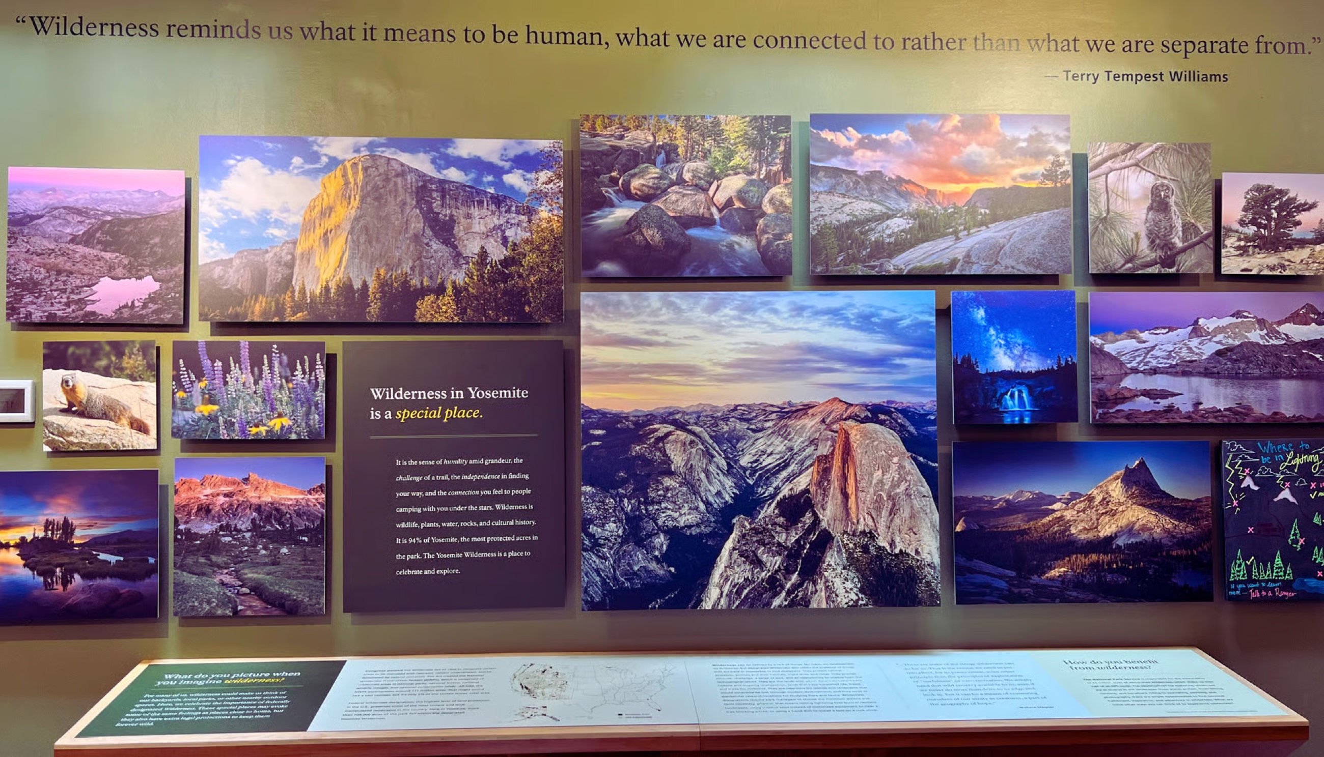 A wall display inside the Yosemite Wilderness Center showing wilderness photography and interpretive text.