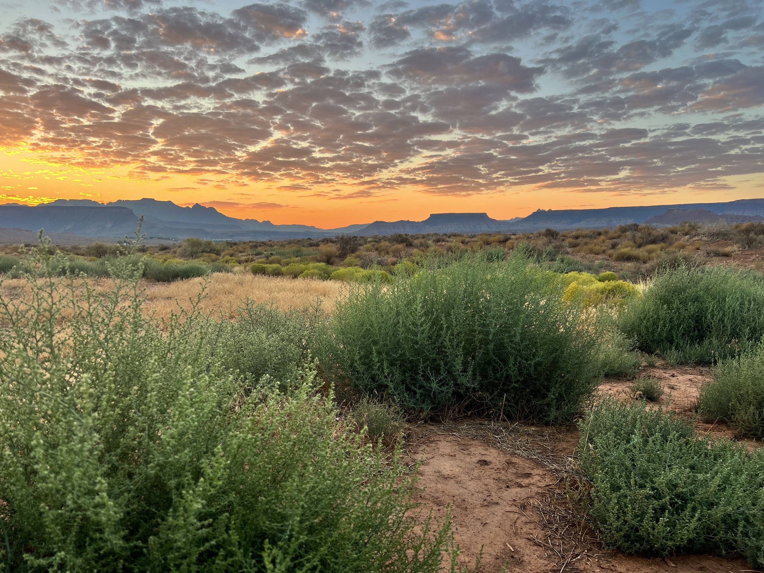 Early sunlight over the campsite near Hurricane Cliffs outside Zion National Park.