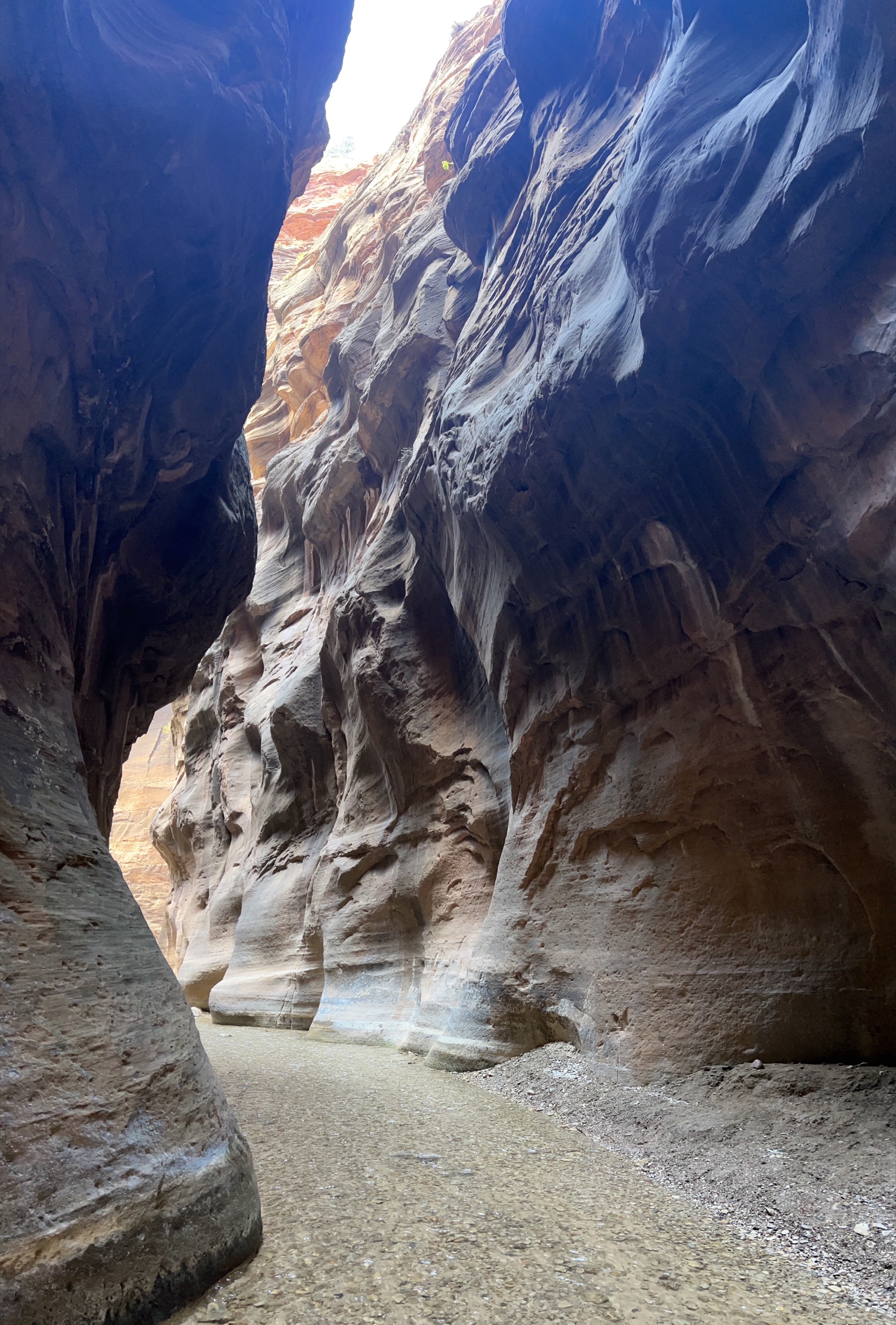 Hikers moving through the Virgin River in the Narrows at Zion National Park.